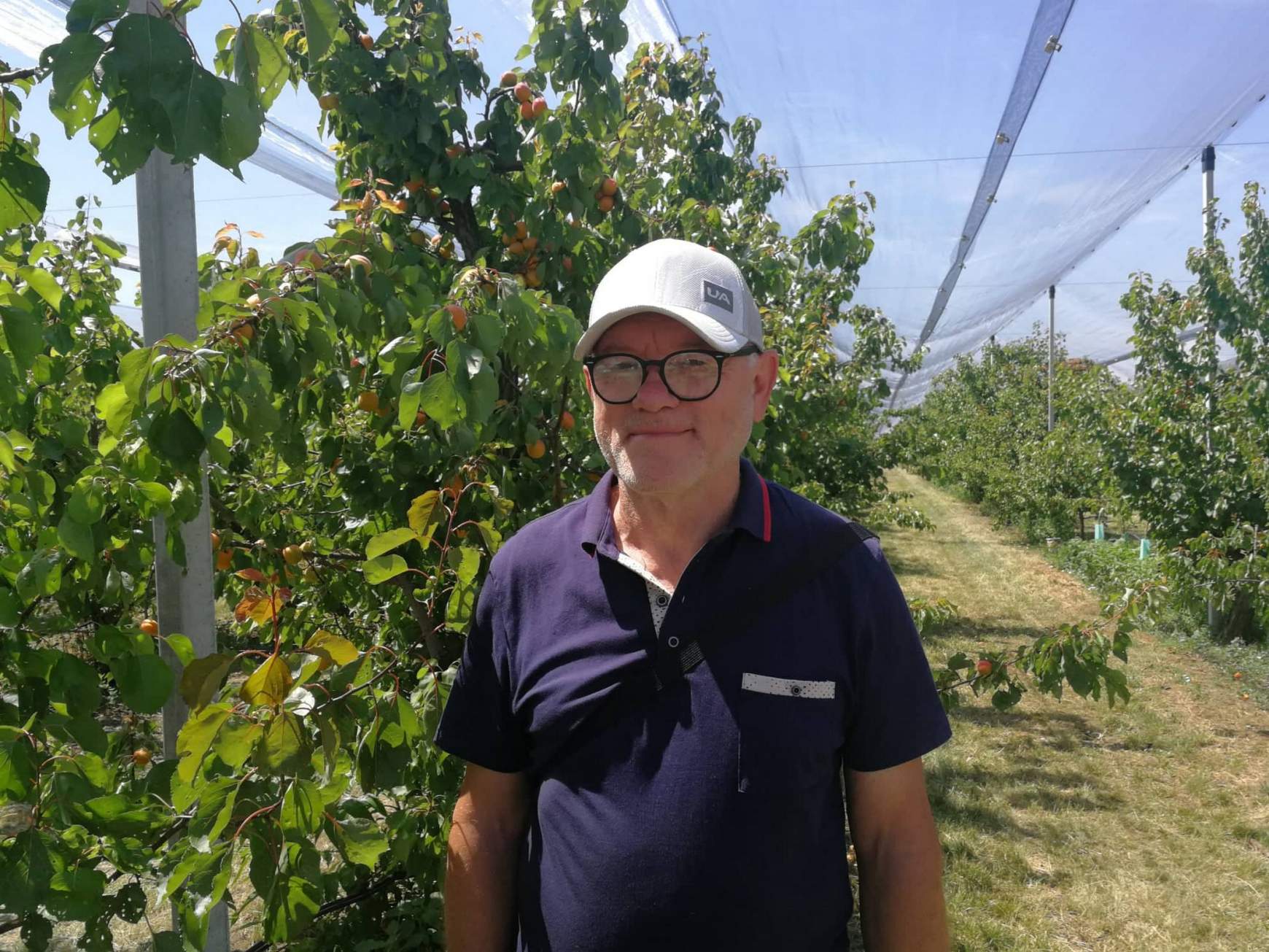 Szabó Dusan a gyümölcsöskert tulajdonosa