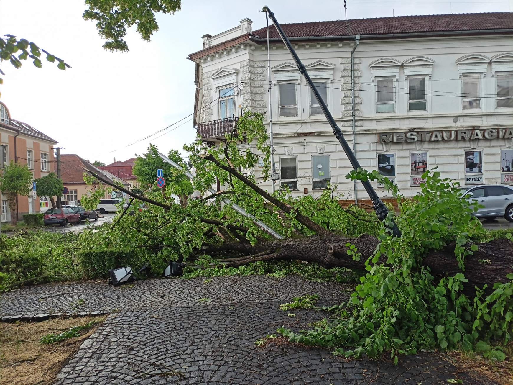 Szélvihar után kidőlt fa Rimaszombatban