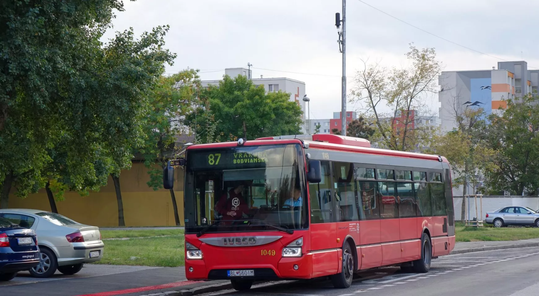 87busz