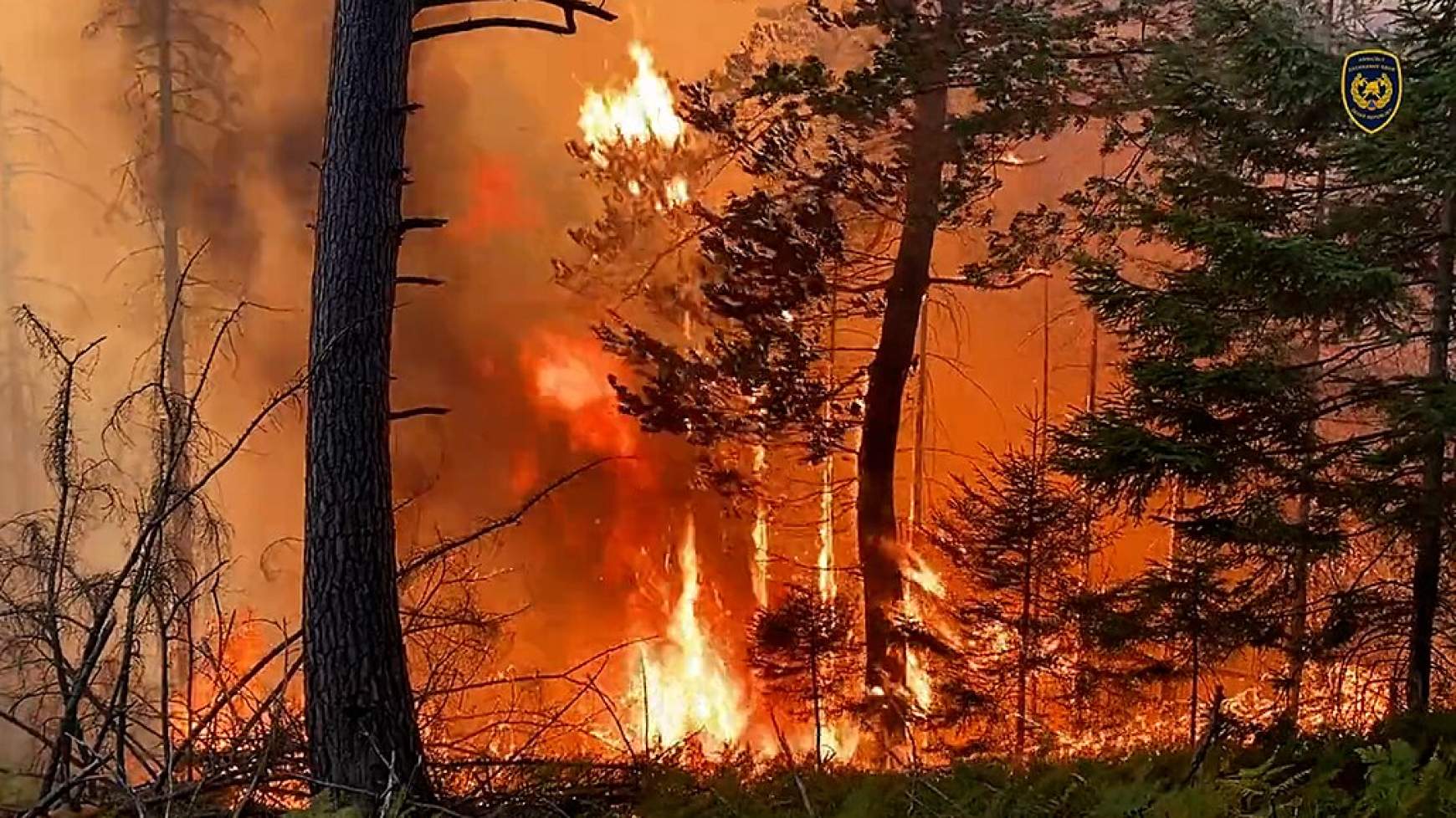 Nemzetközi összefogás