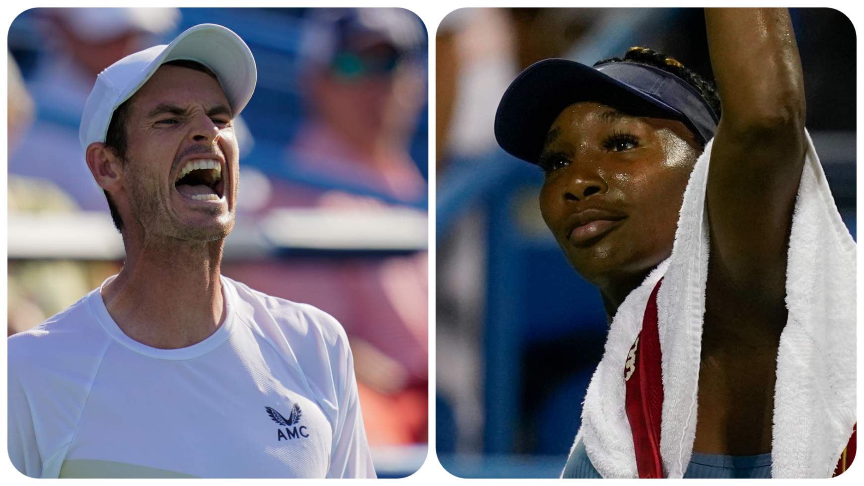 Andy Murray Venus Williams