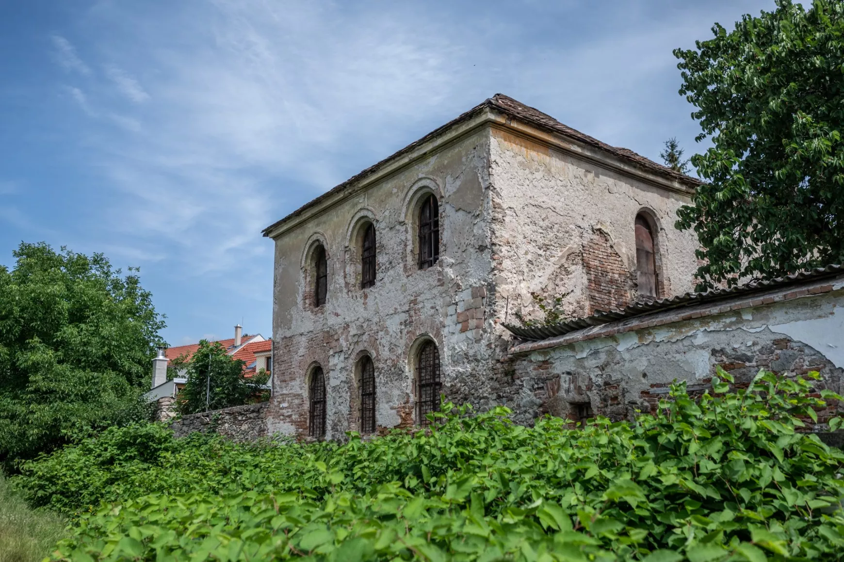 zsinagóga
