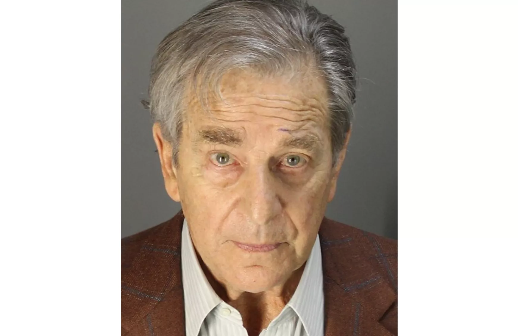 Paul Pelosi