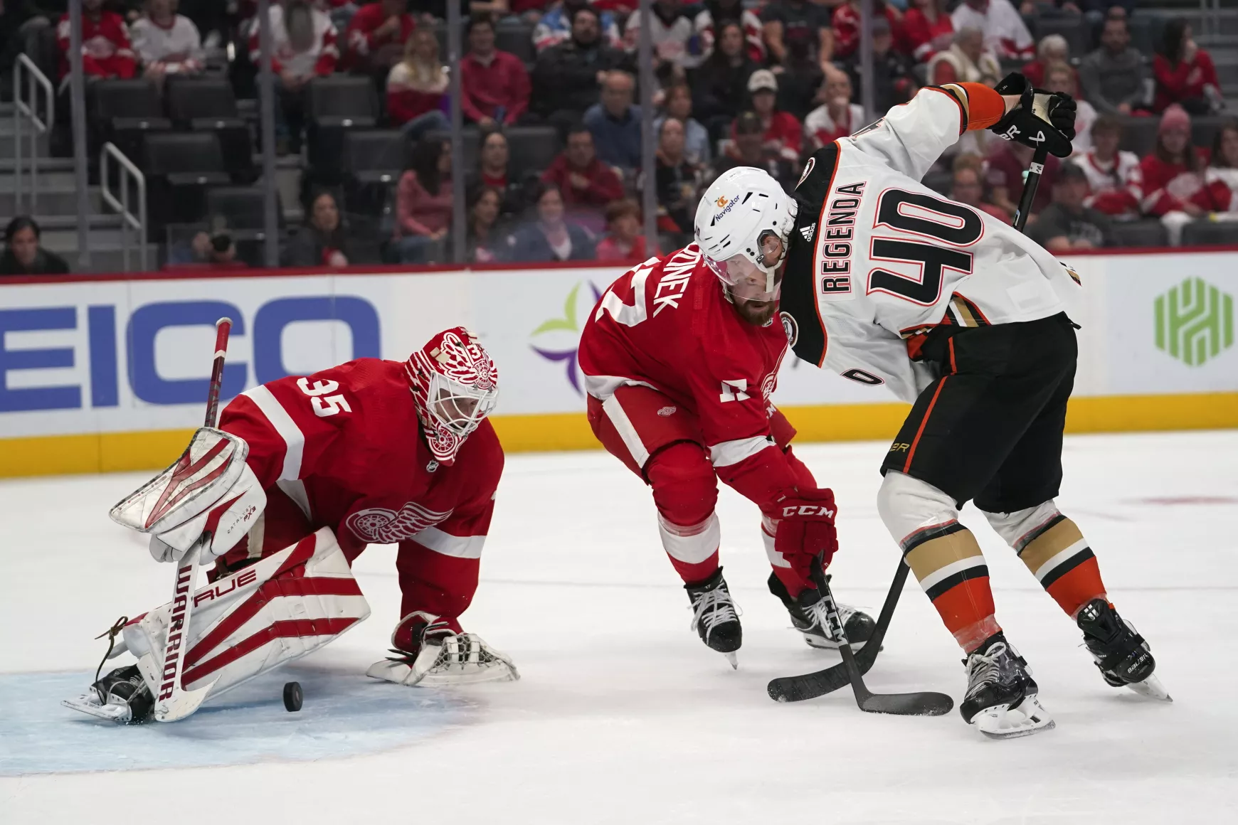 Detroit Red Wings-Anaheim Ducks 5-1