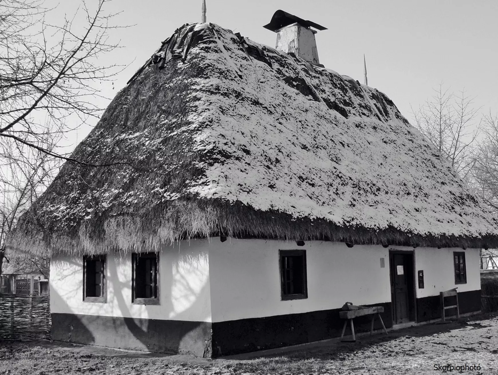ház
