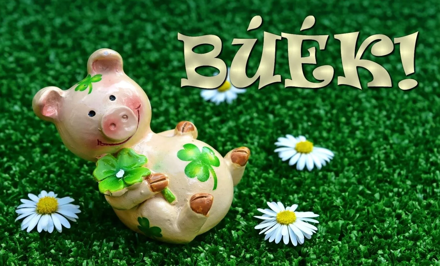 buek