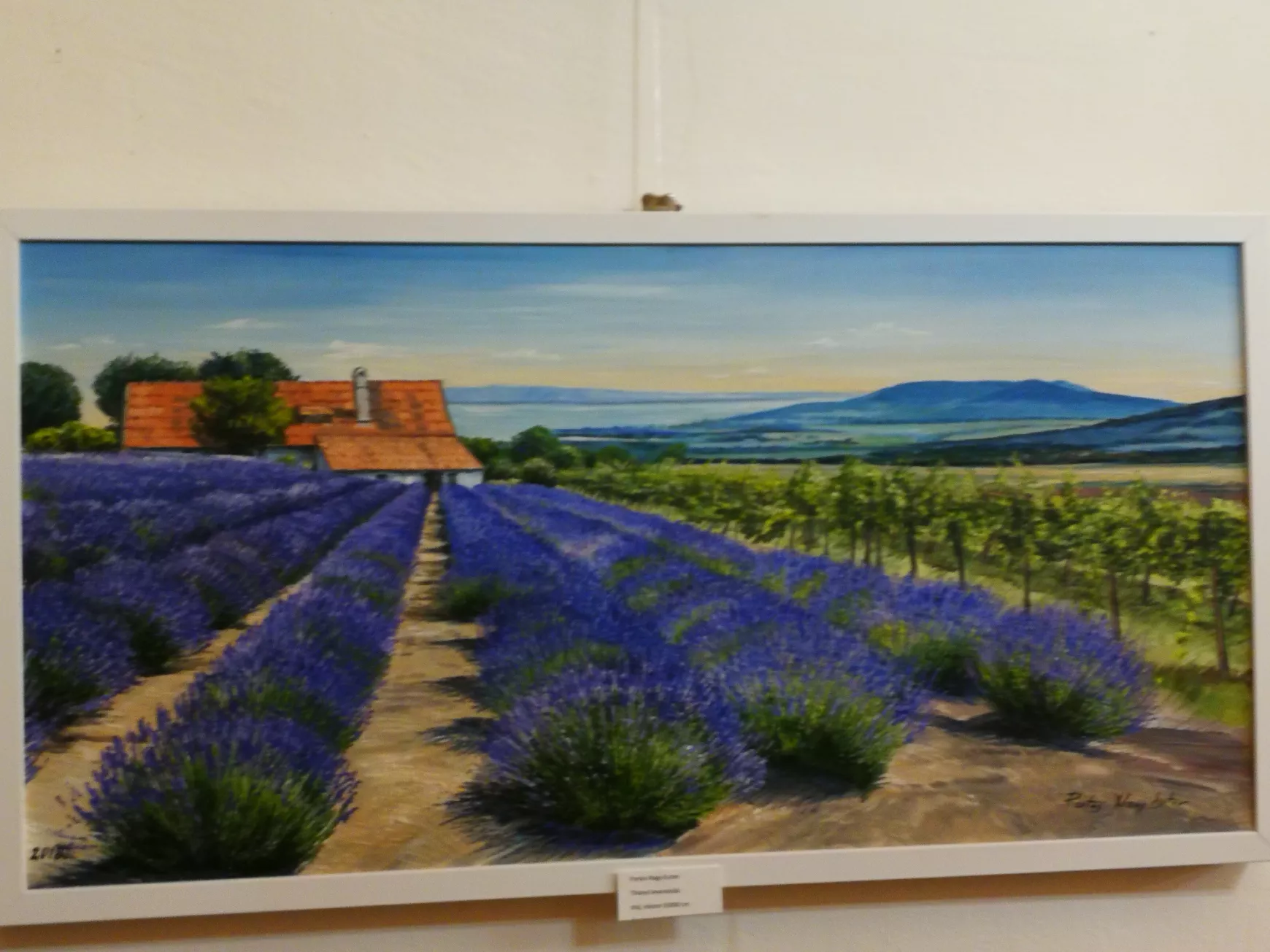 A magyarság összetartozását is jelképező Kárpát-medencei panorámák Komáromban KÉPGALÉRIÁVAL 