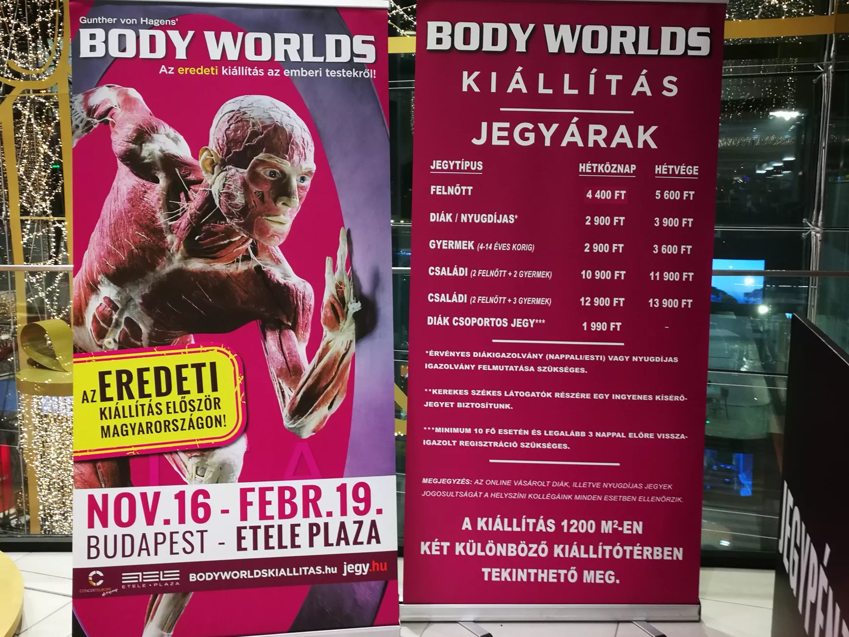 Félidőben a Magyarországon először látható BODY WORLDS kiállításról