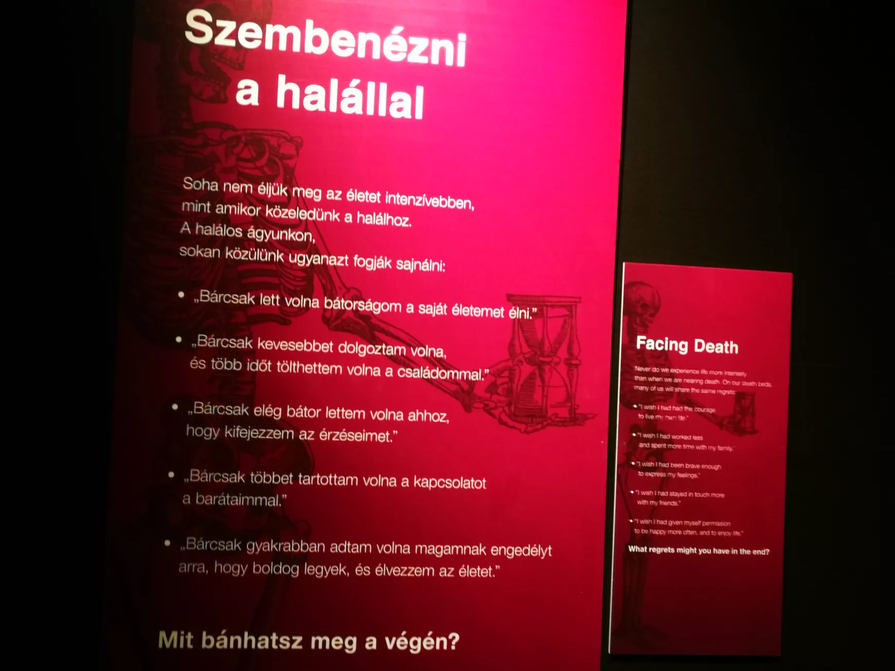 Félidőben a Magyarországon először látható BODY WORLDS kiállításról