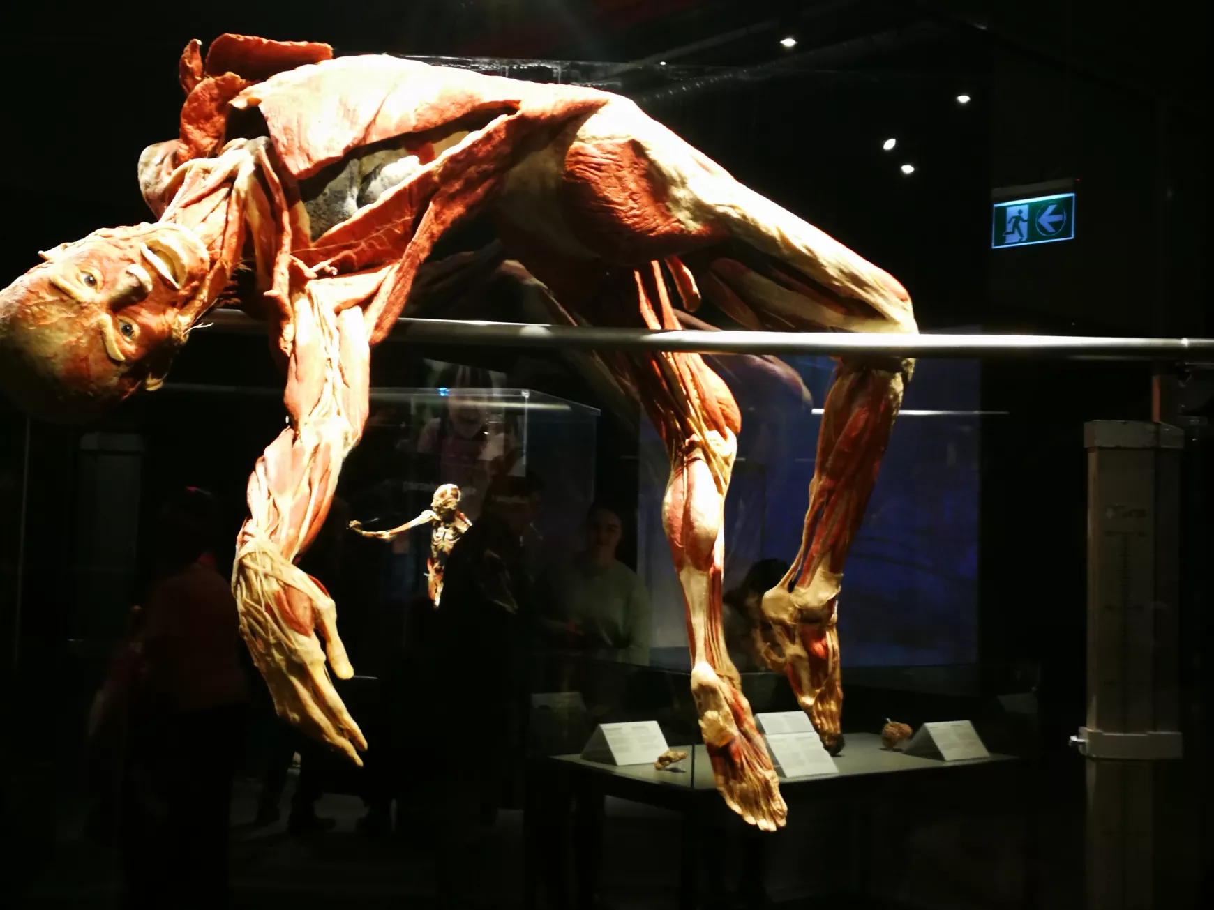 Félidőben a Magyarországon először látható BODY WORLDS kiállításról