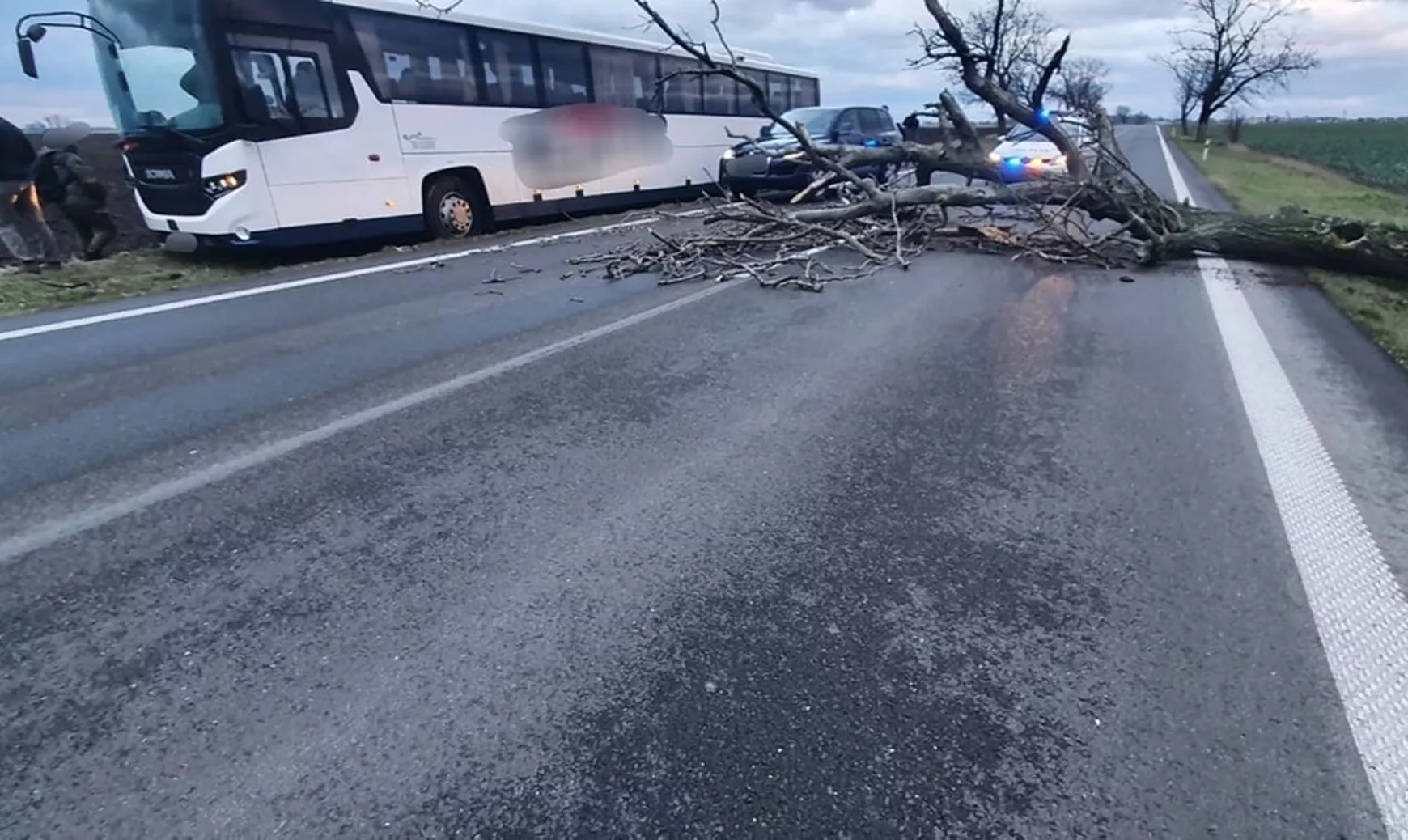 2023-02-04 vihar, kidőlt fa