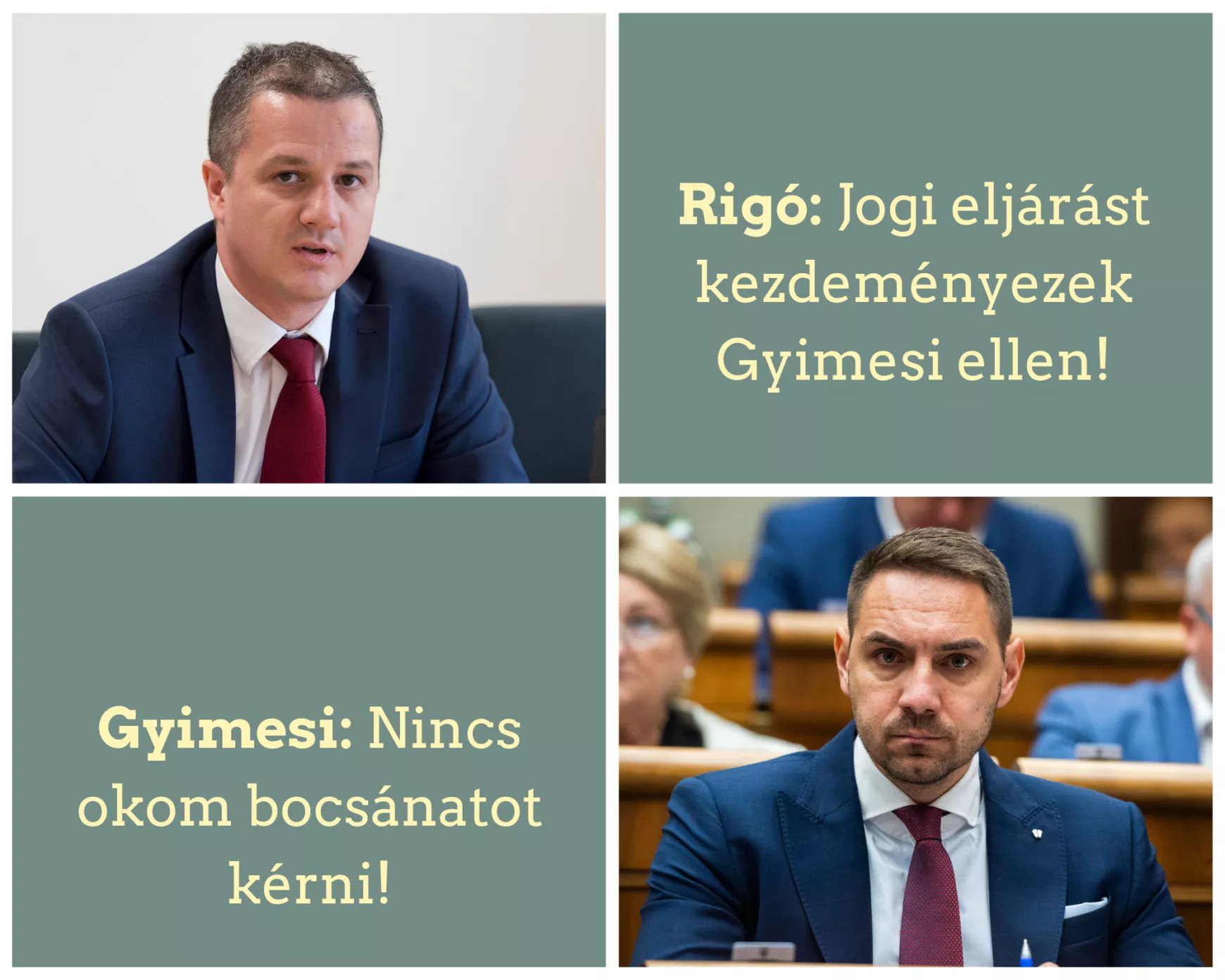 rigó gyimesi