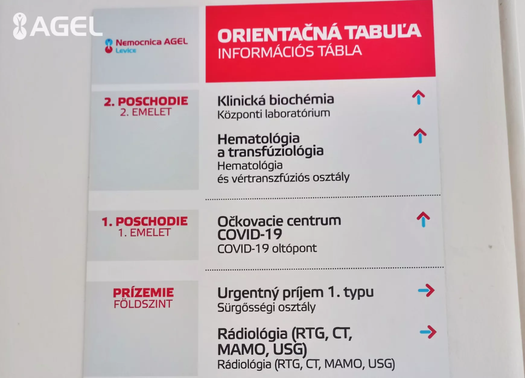 kétnyelvűség
