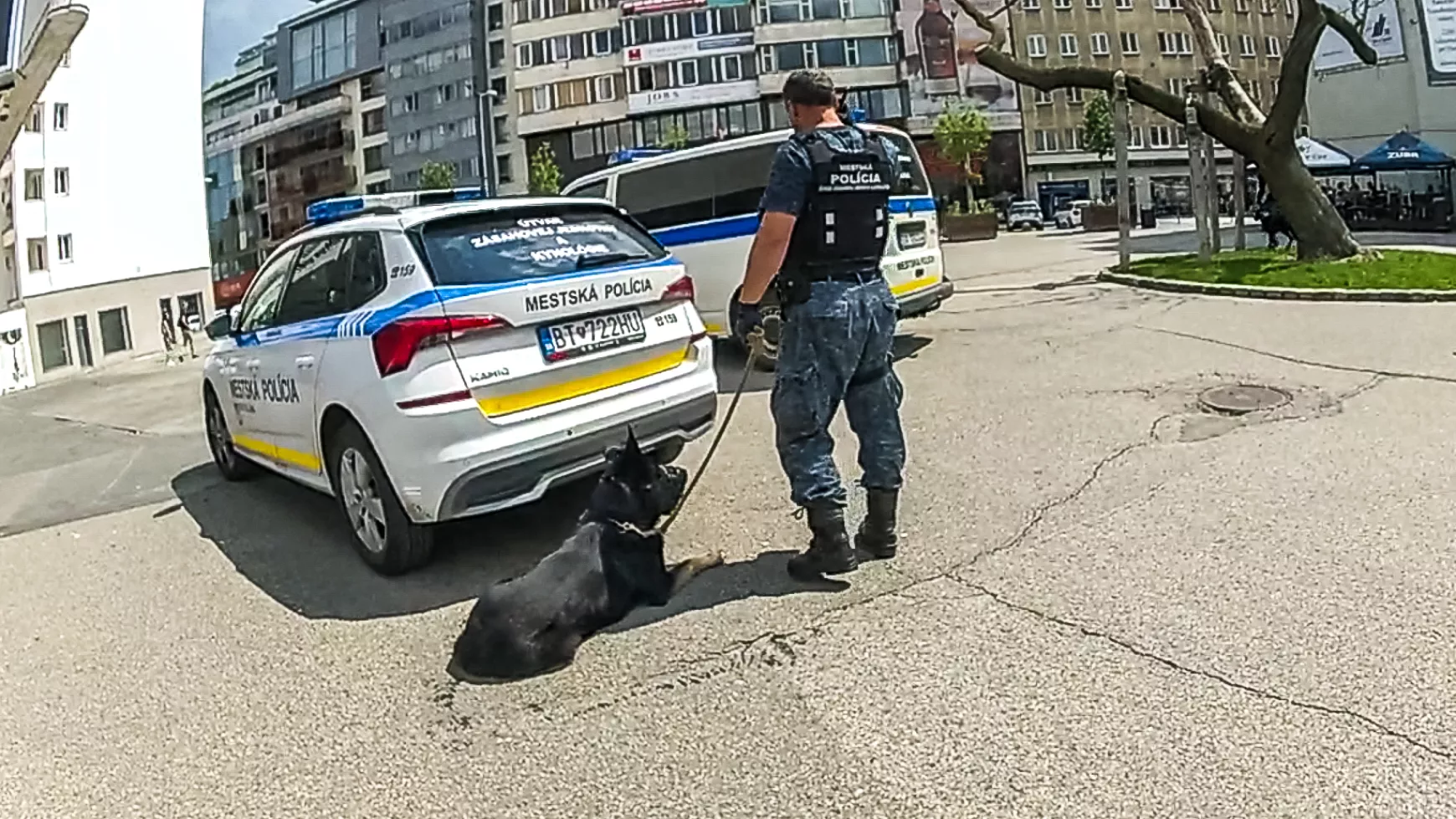 pozsonyi városi rendőrség, kutyás rendőr