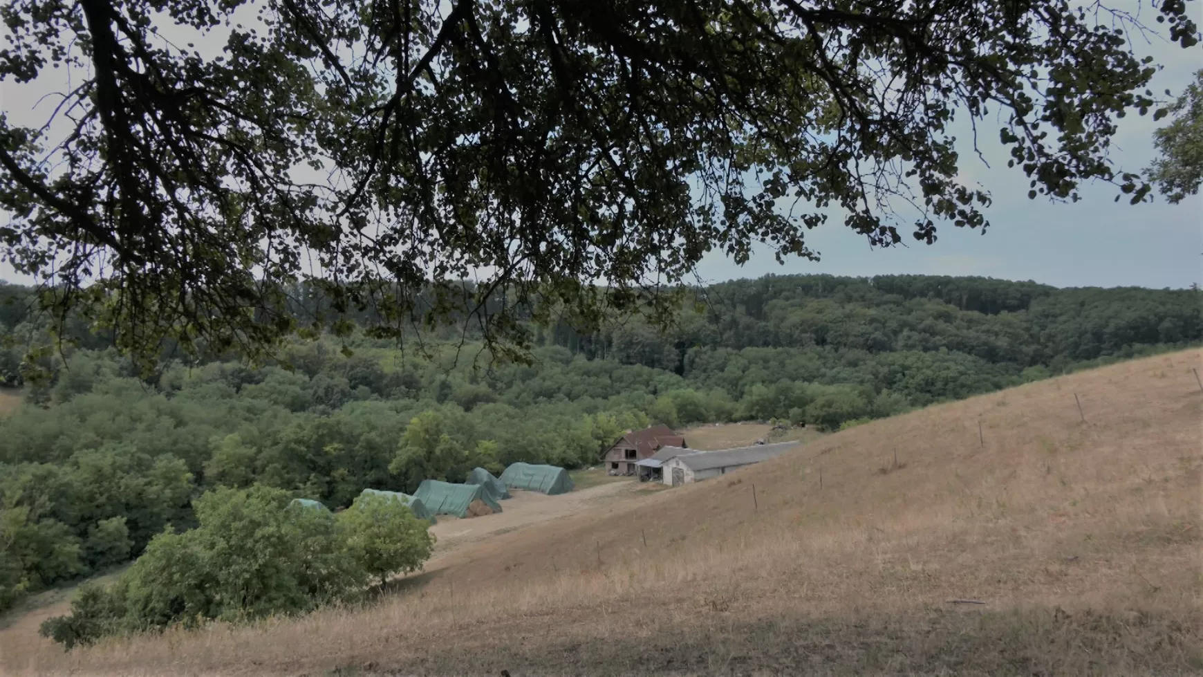A Juhász farm egy része
