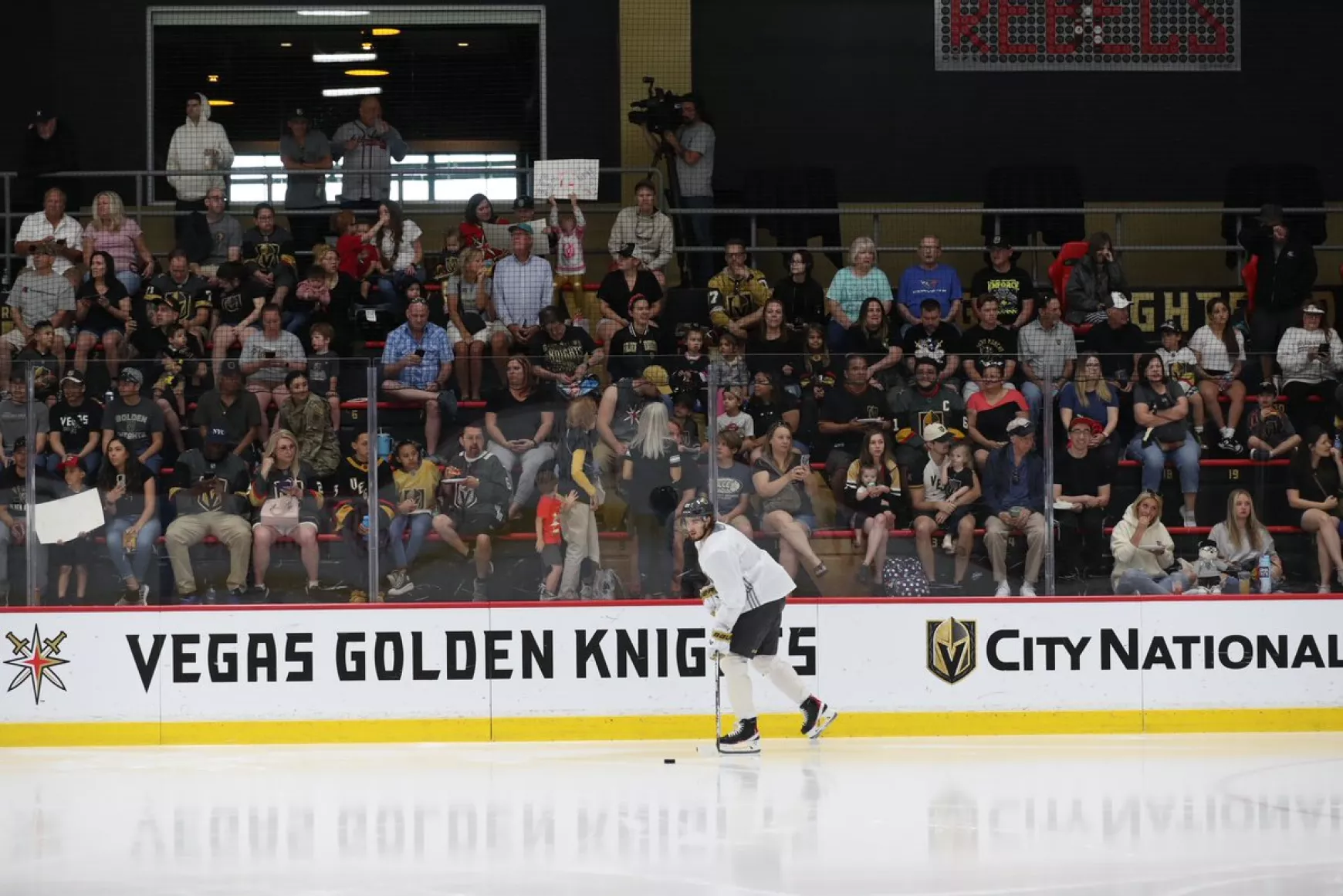 Vegas Golden Knights 