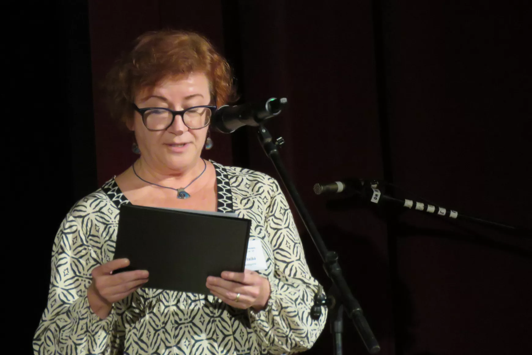 N.Tóth Anikó, XXX:TMOV