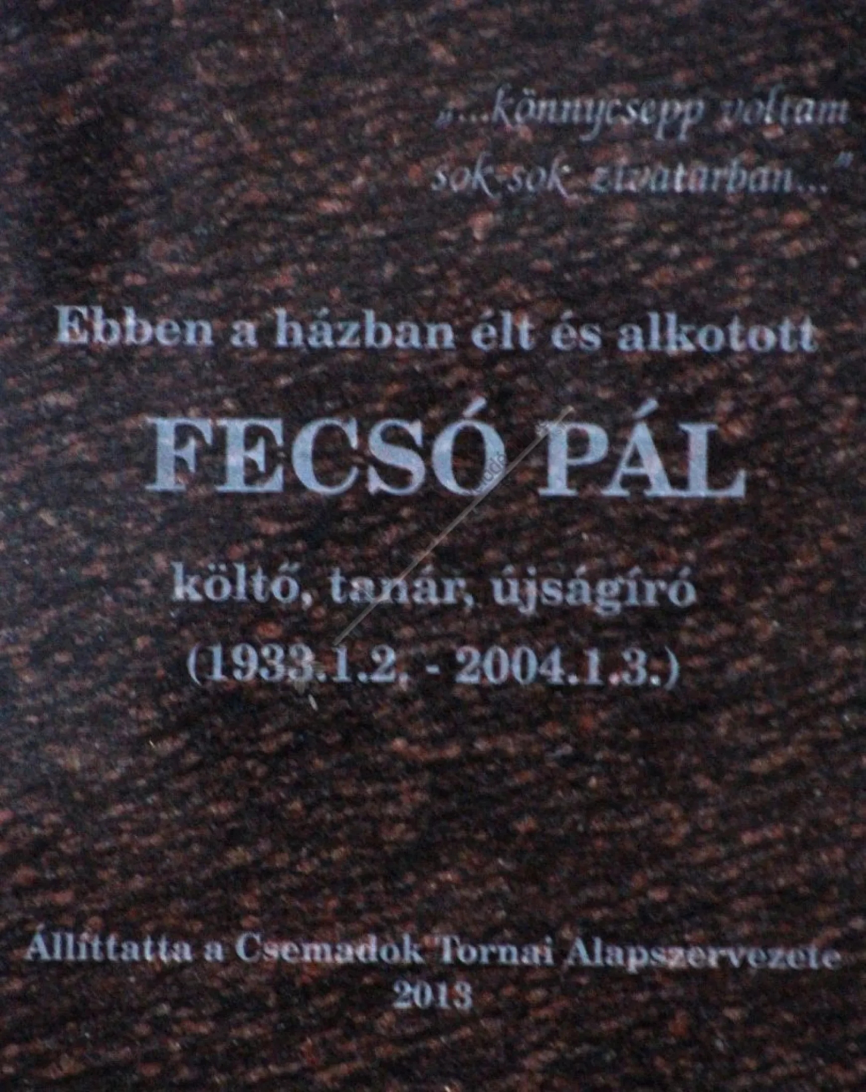 Fecsó Pál