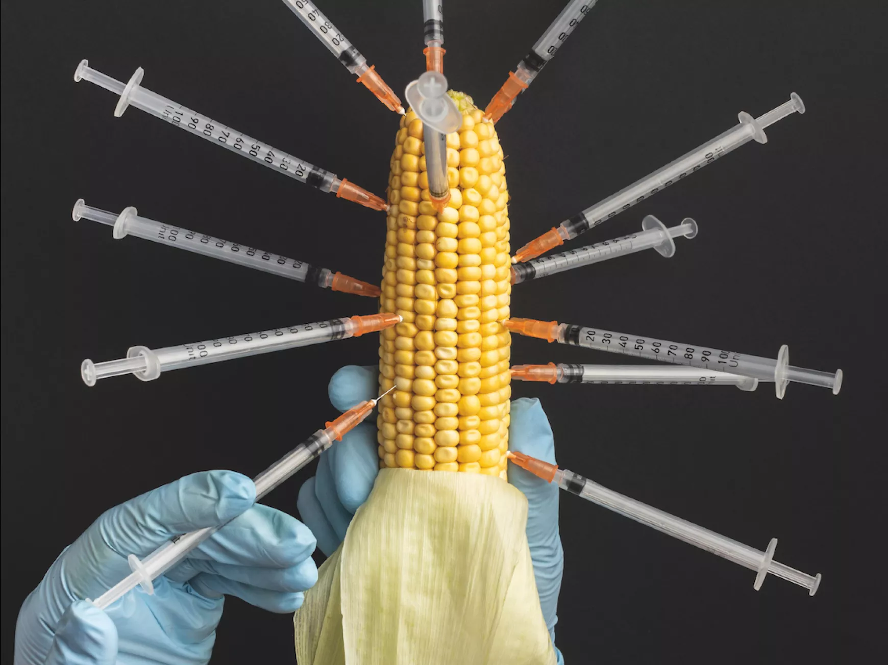 gmo zöldség