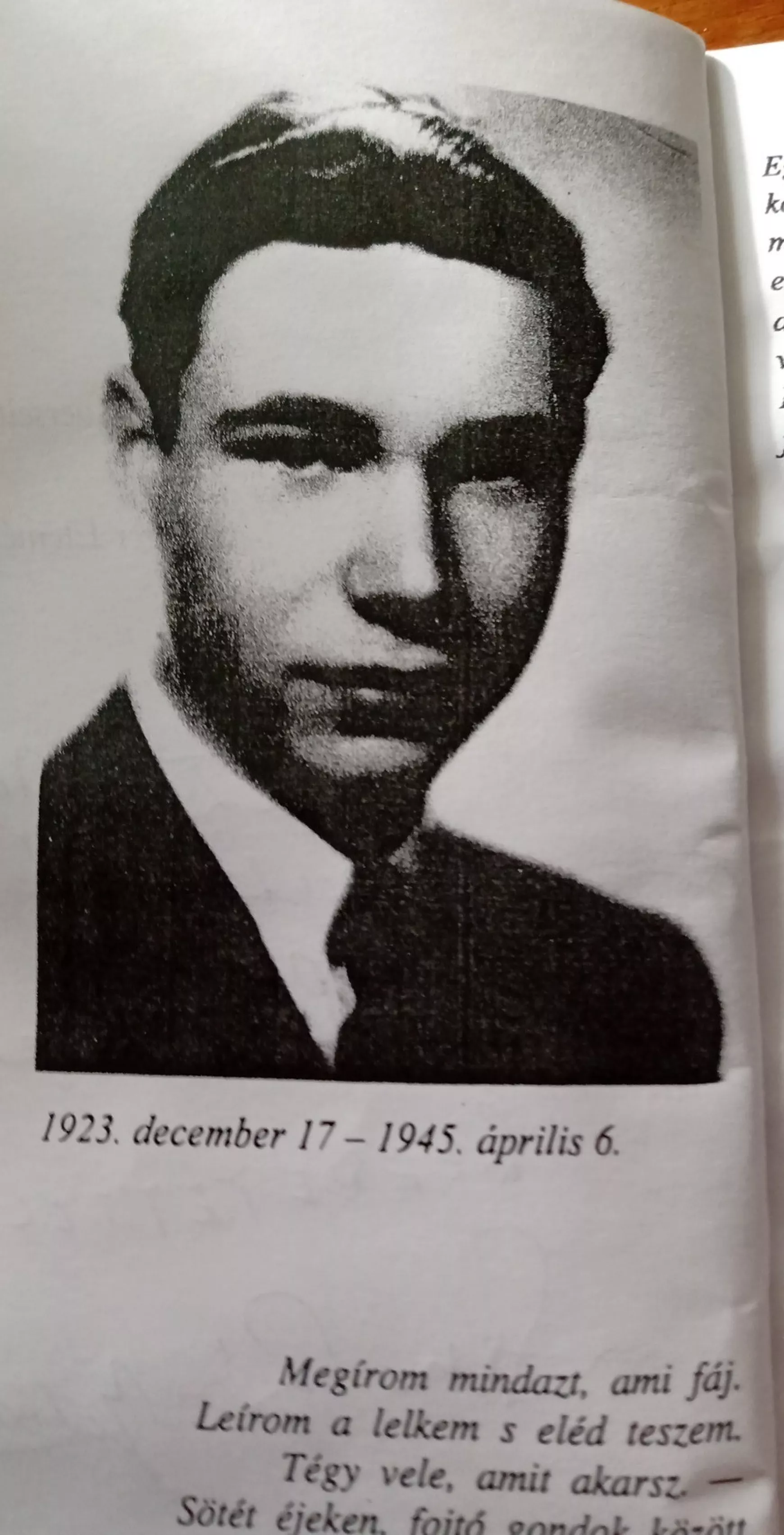 Stelczer Endre