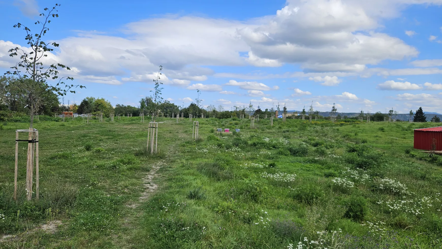 Kassa, park, malátagyár, volt evangélikus temető, Park a malátagyár mögött