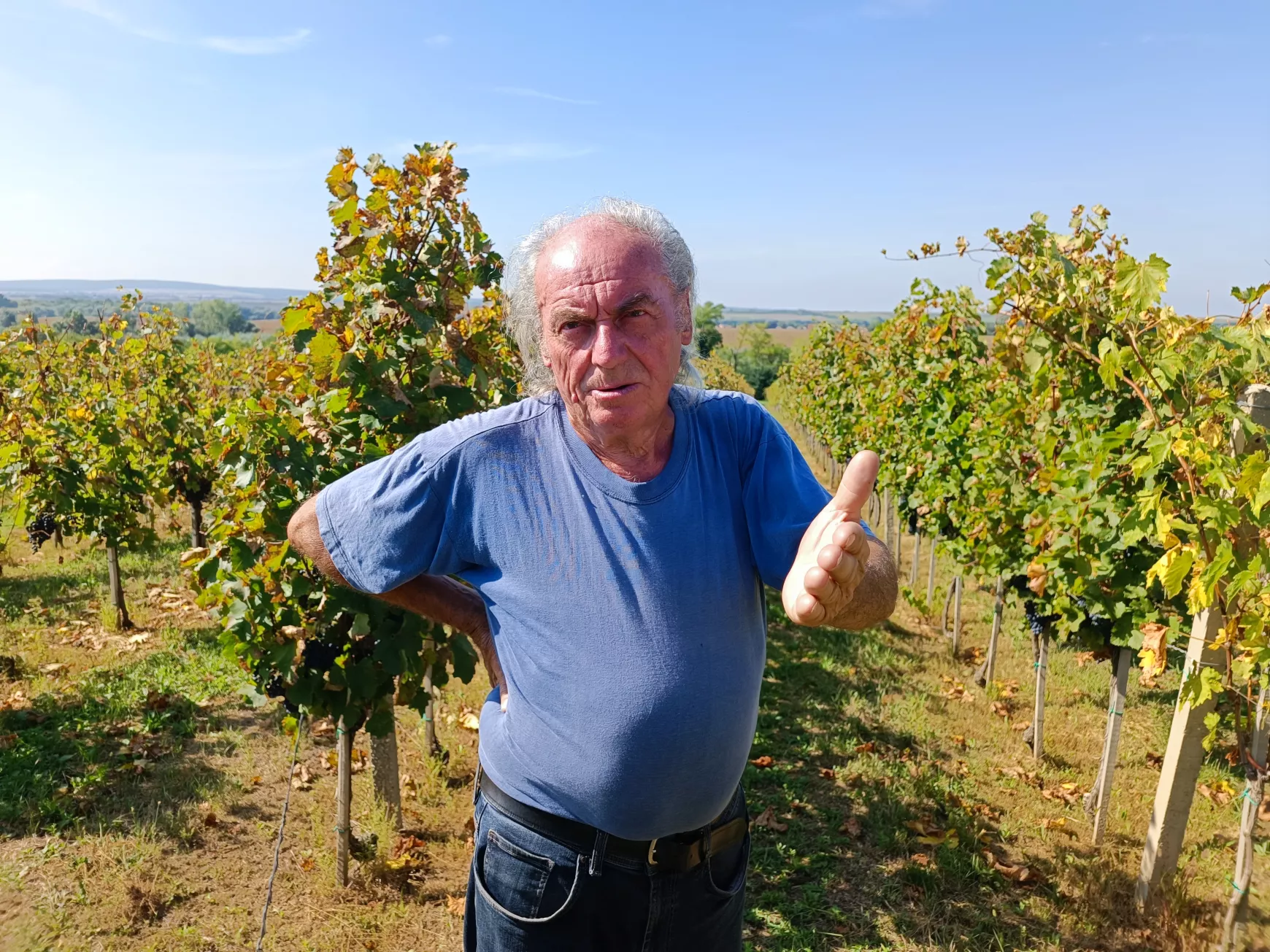 Korpás Árpád