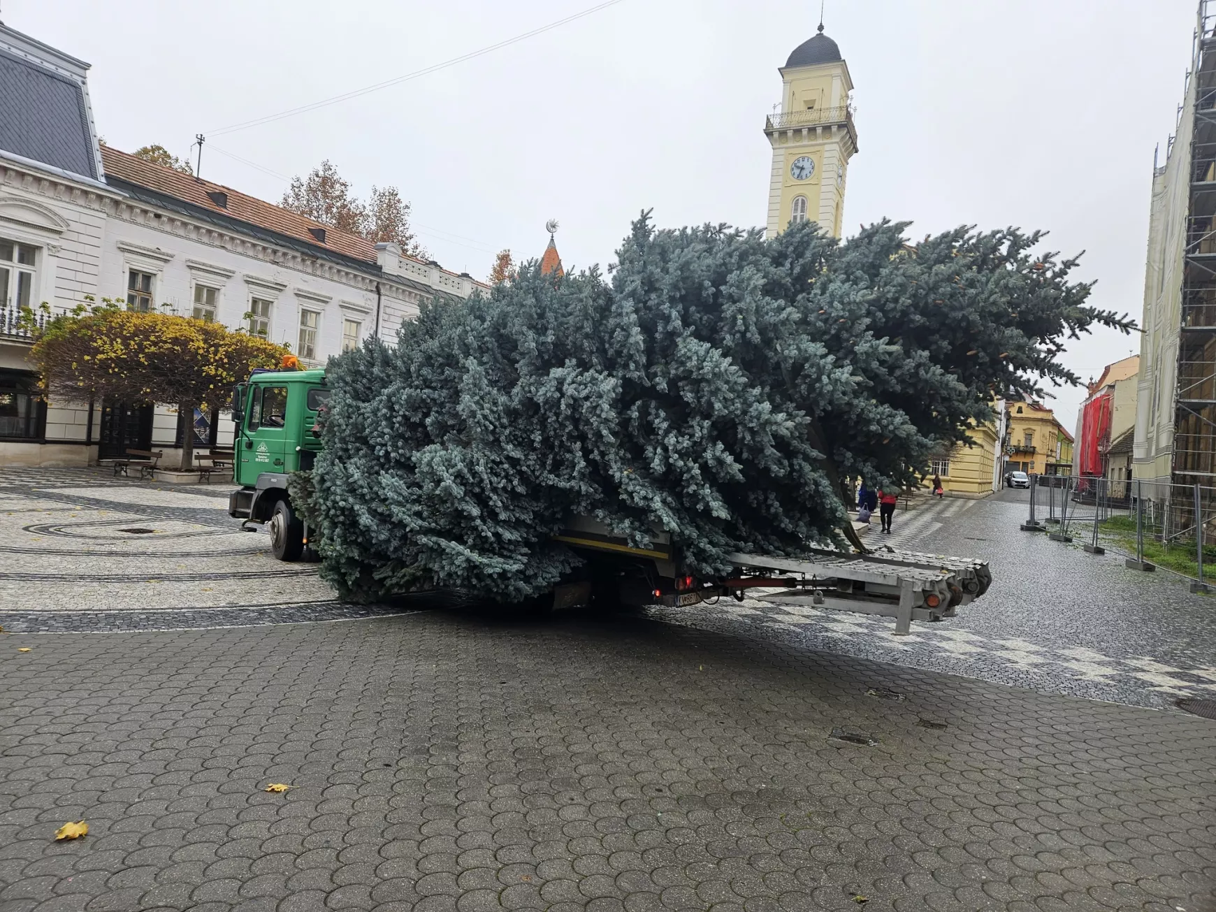 Tizenkét méteres ezüstfenyő Komárom idei karácsonyfája - KÉPEKKEL