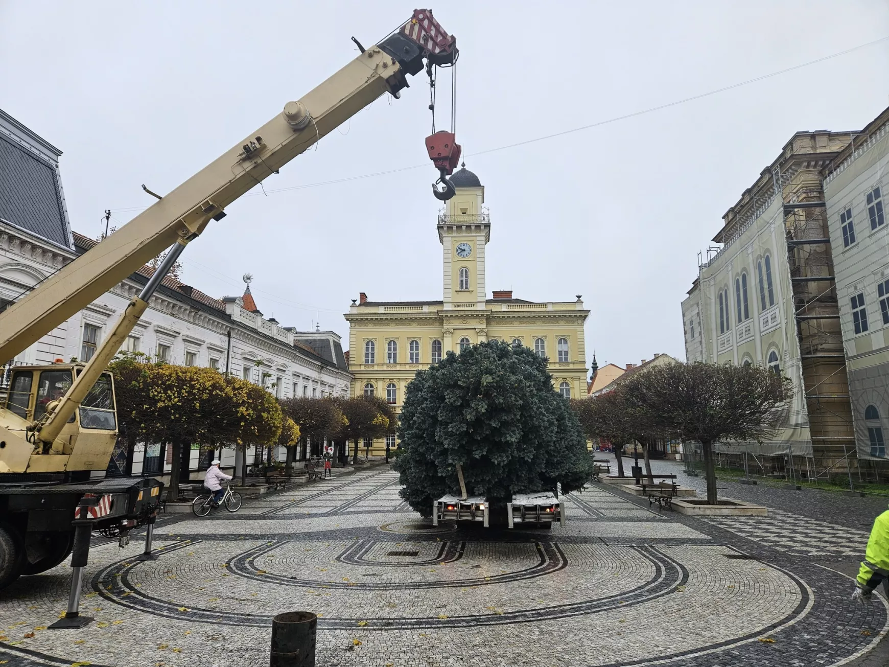 Tizenkét méteres ezüstfenyő Komárom idei karácsonyfája - KÉPEKKEL