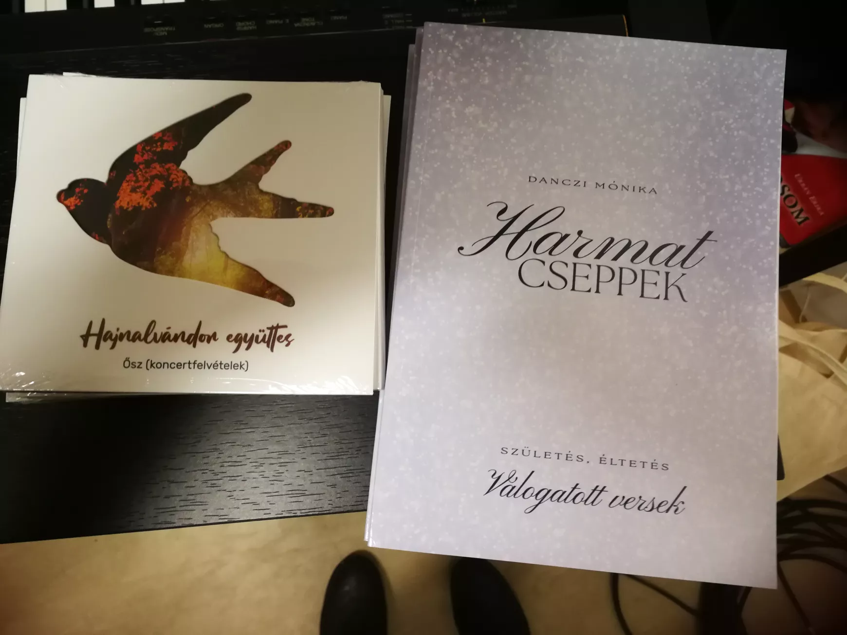 A Hajnalvándor lélekemelő koncerttel ajándékozta meg a komáromiakat – KÉPEKKEL