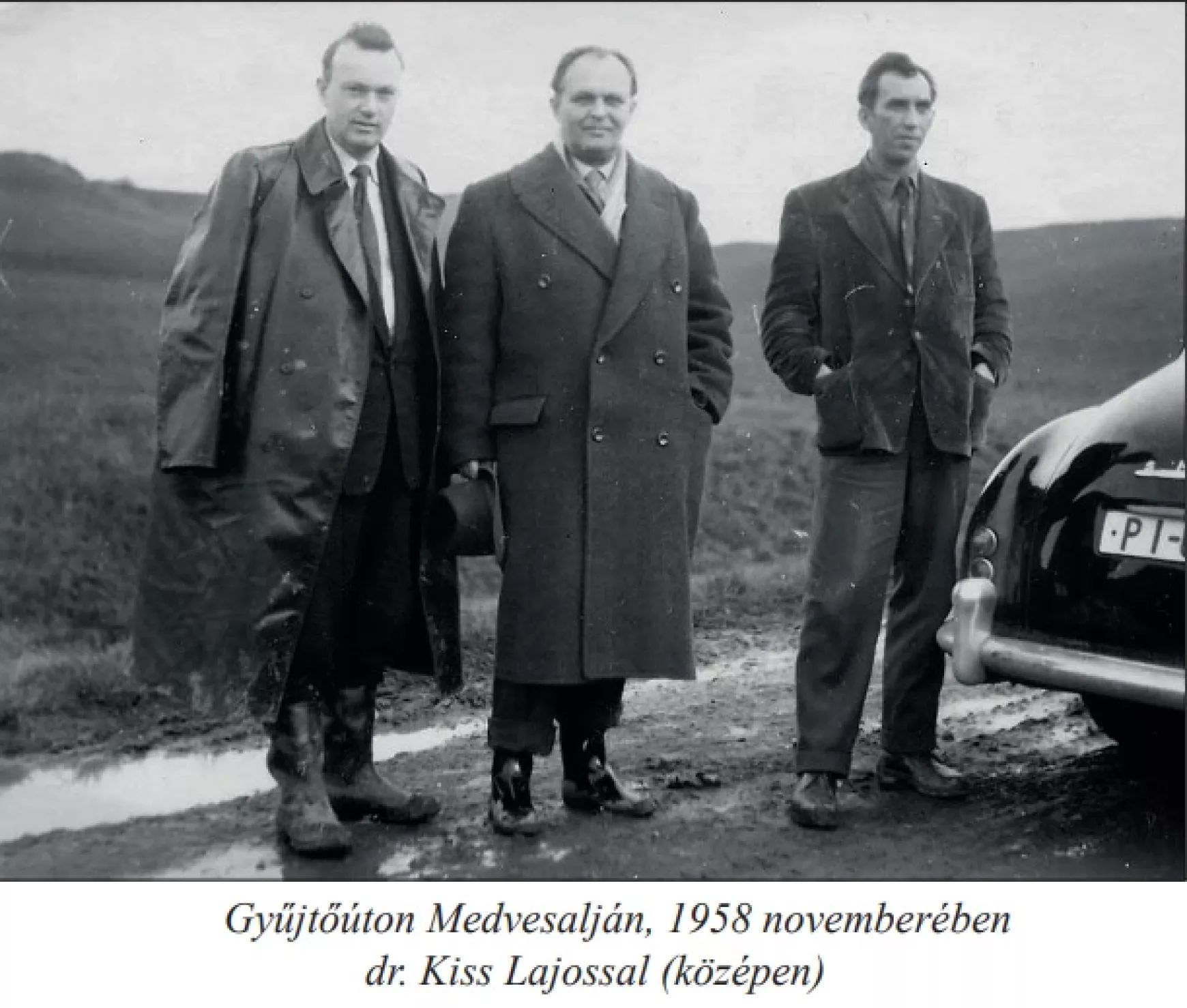 gyujtouton-medvesaljan