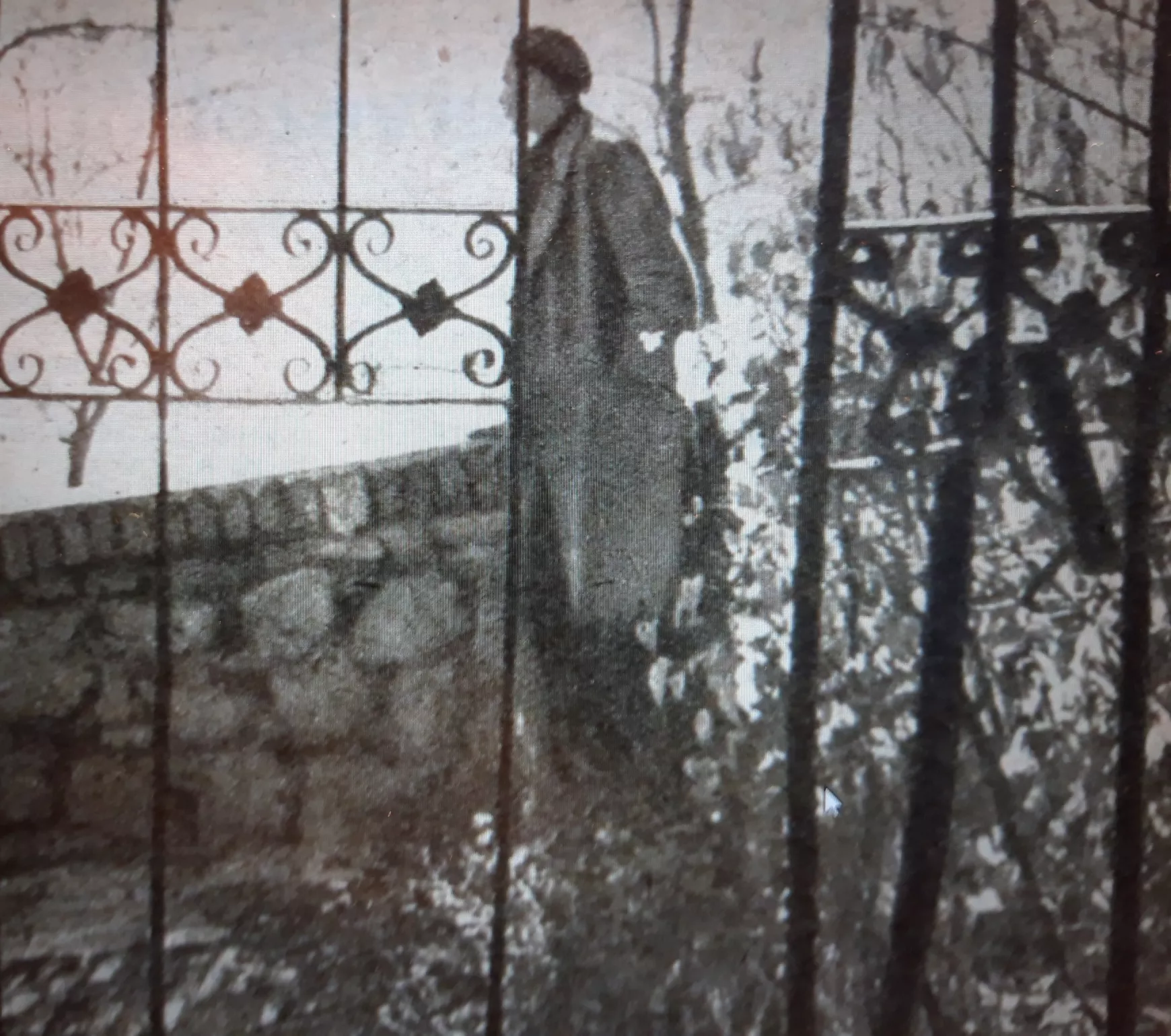 Babos László