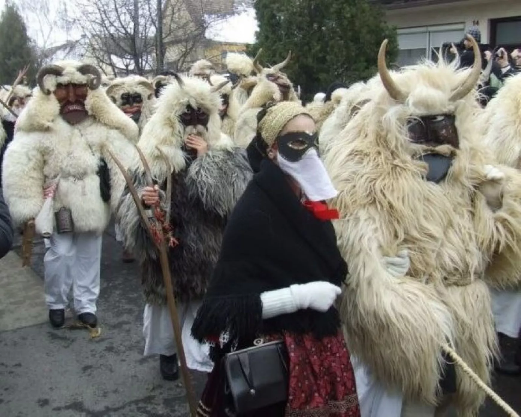 busók