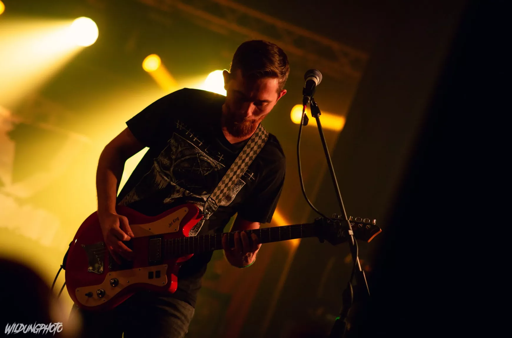 gyorog-marci-wildungphoto