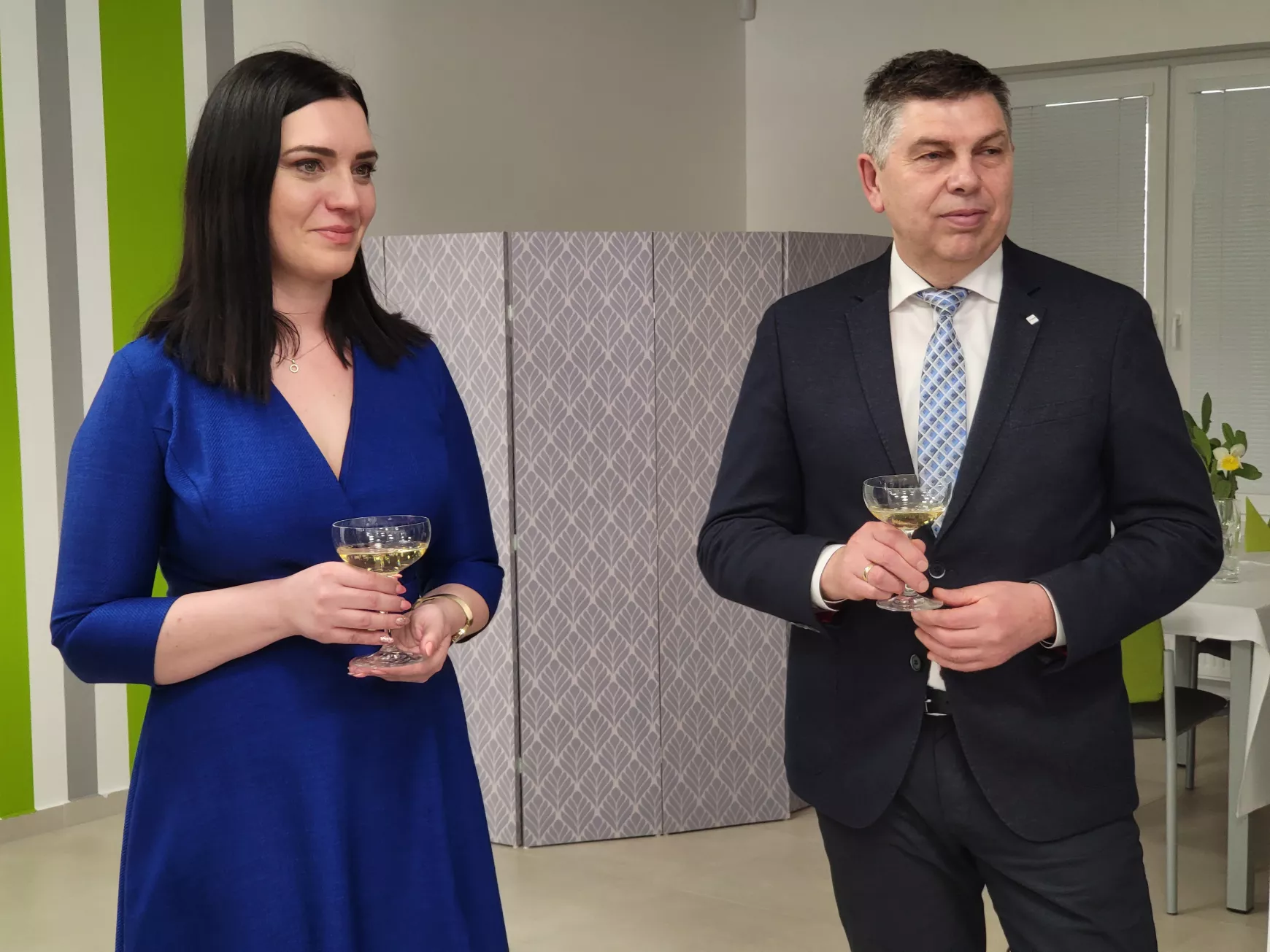 Támogatói központ Vágsellye