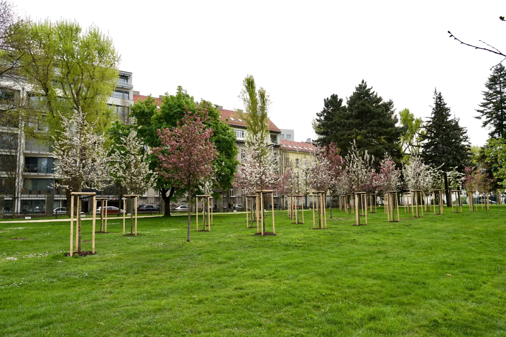 Grassalkovich-kert