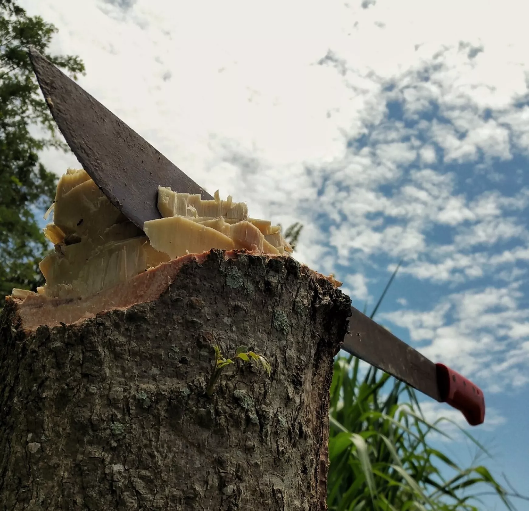 machete