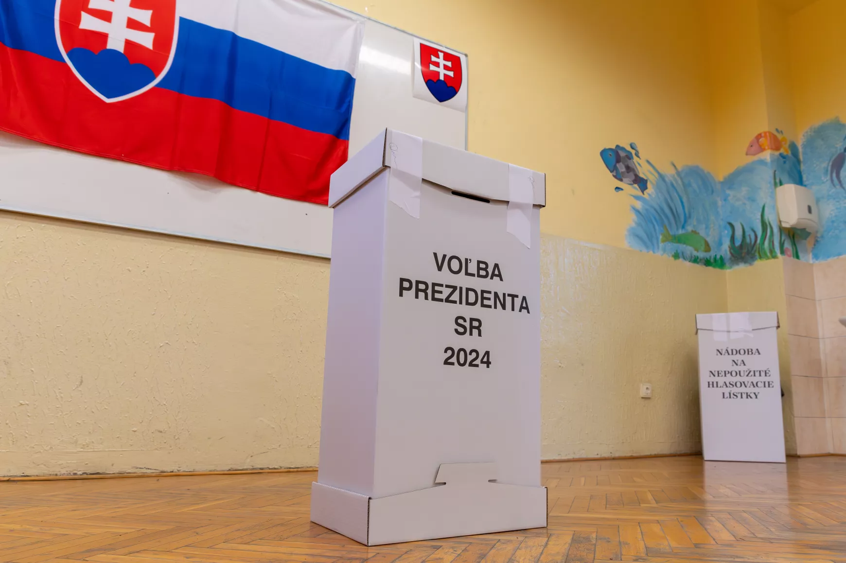 államfőválasztás 2024, illusztráció