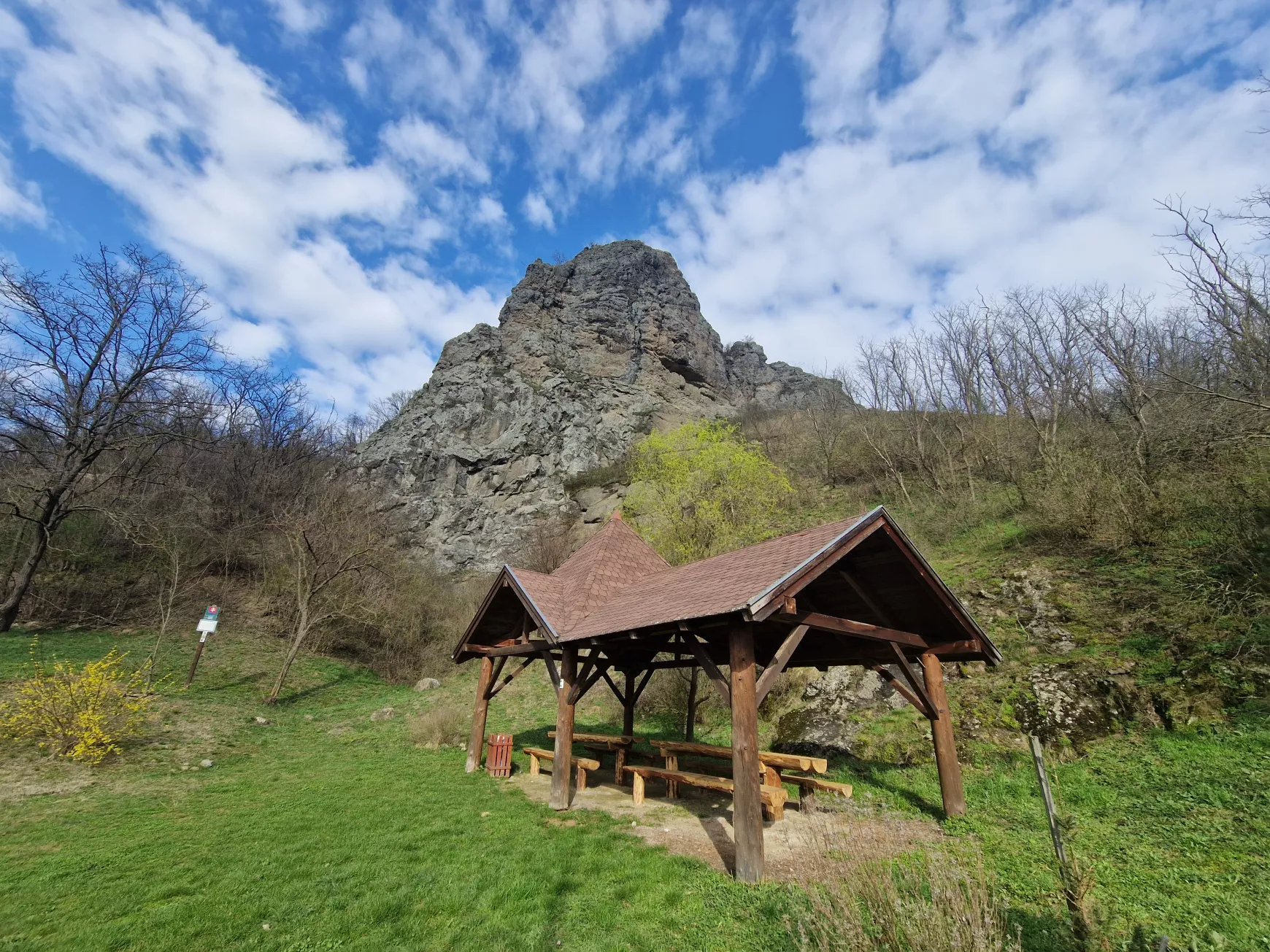 Sőregi leletek