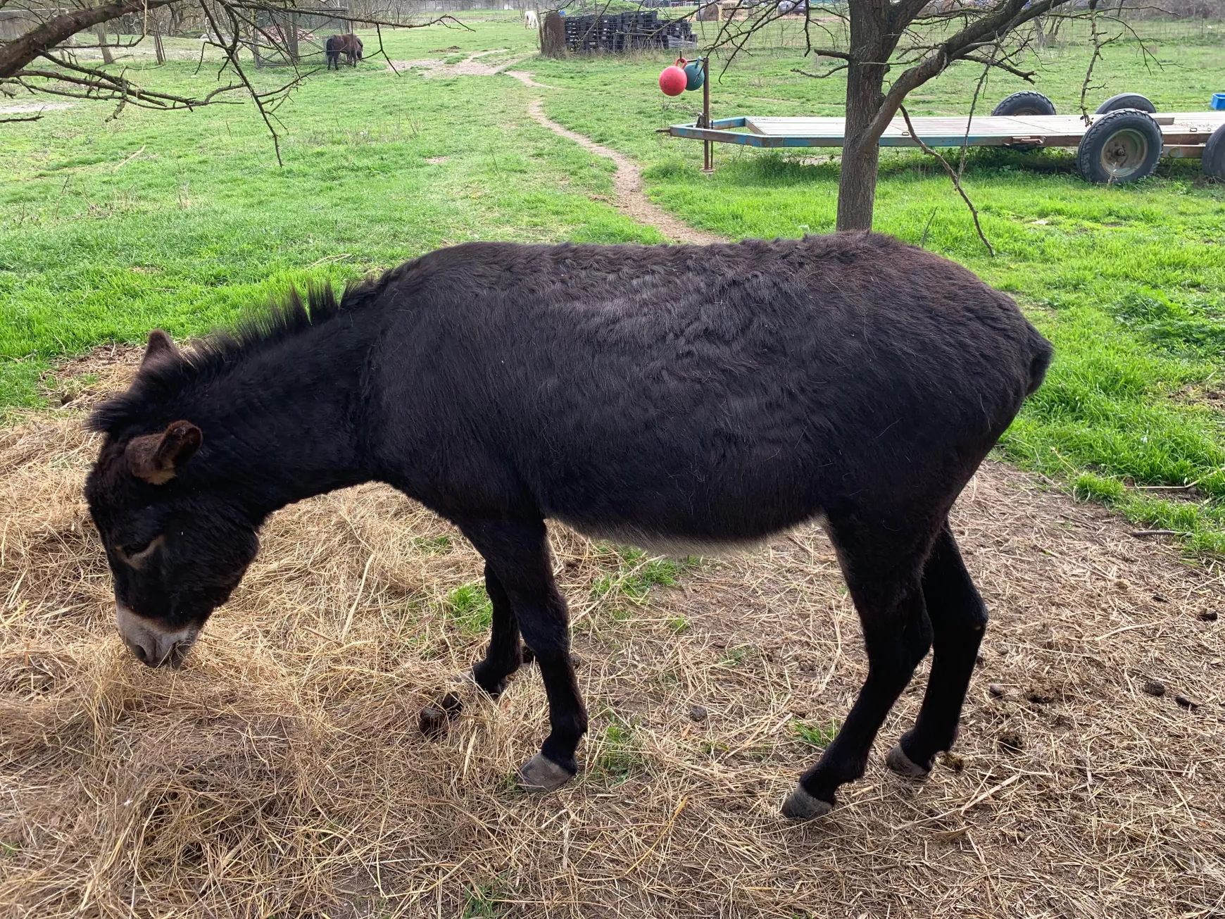 látványfarm