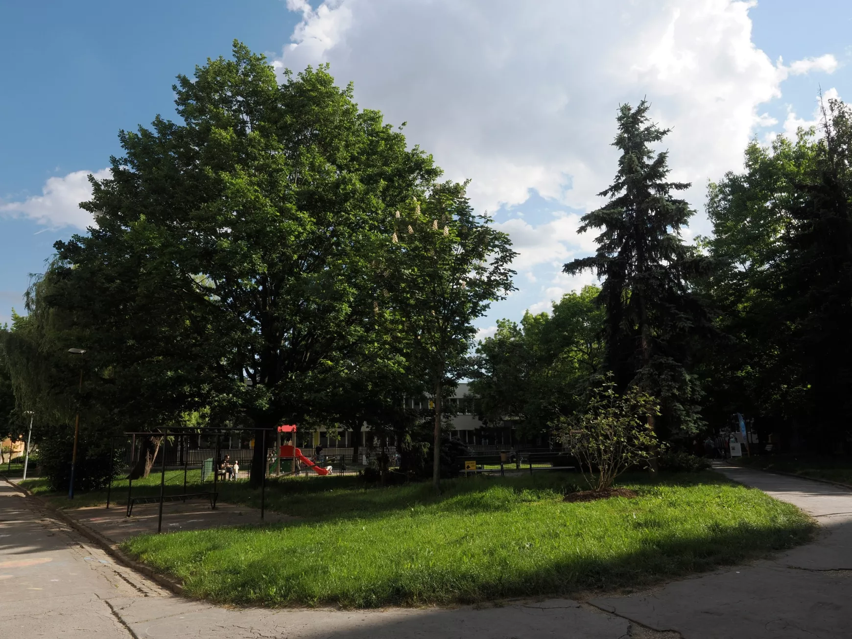 Kassa, park, Münster Tivadar