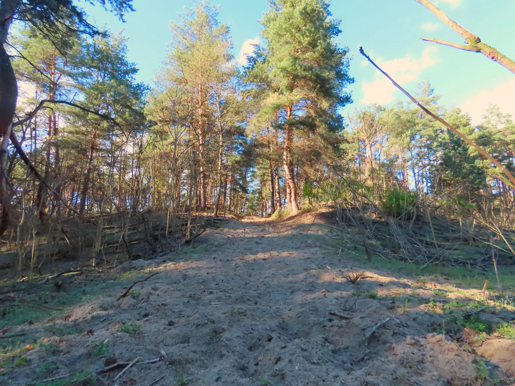 Természet