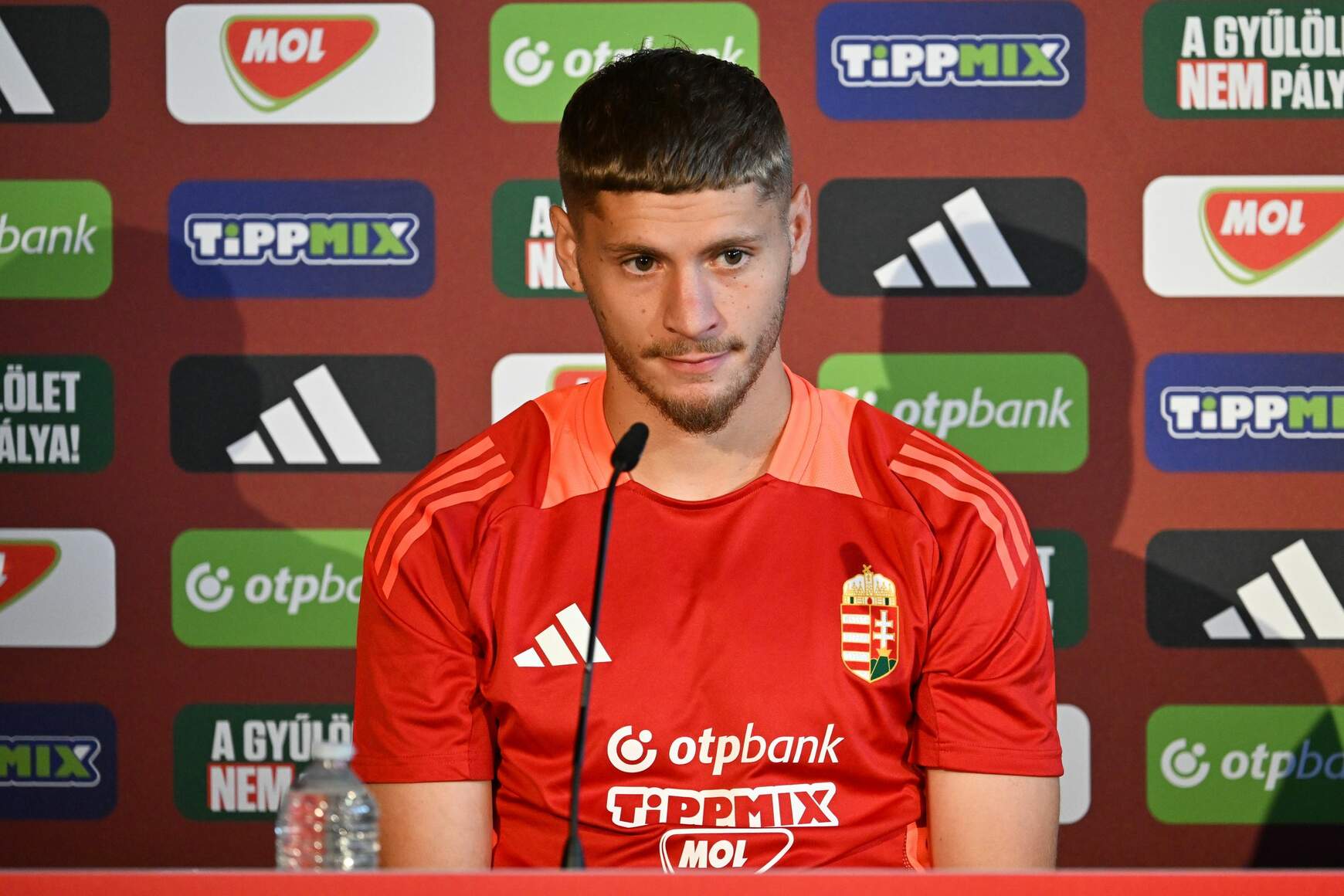 Dárdai Márton