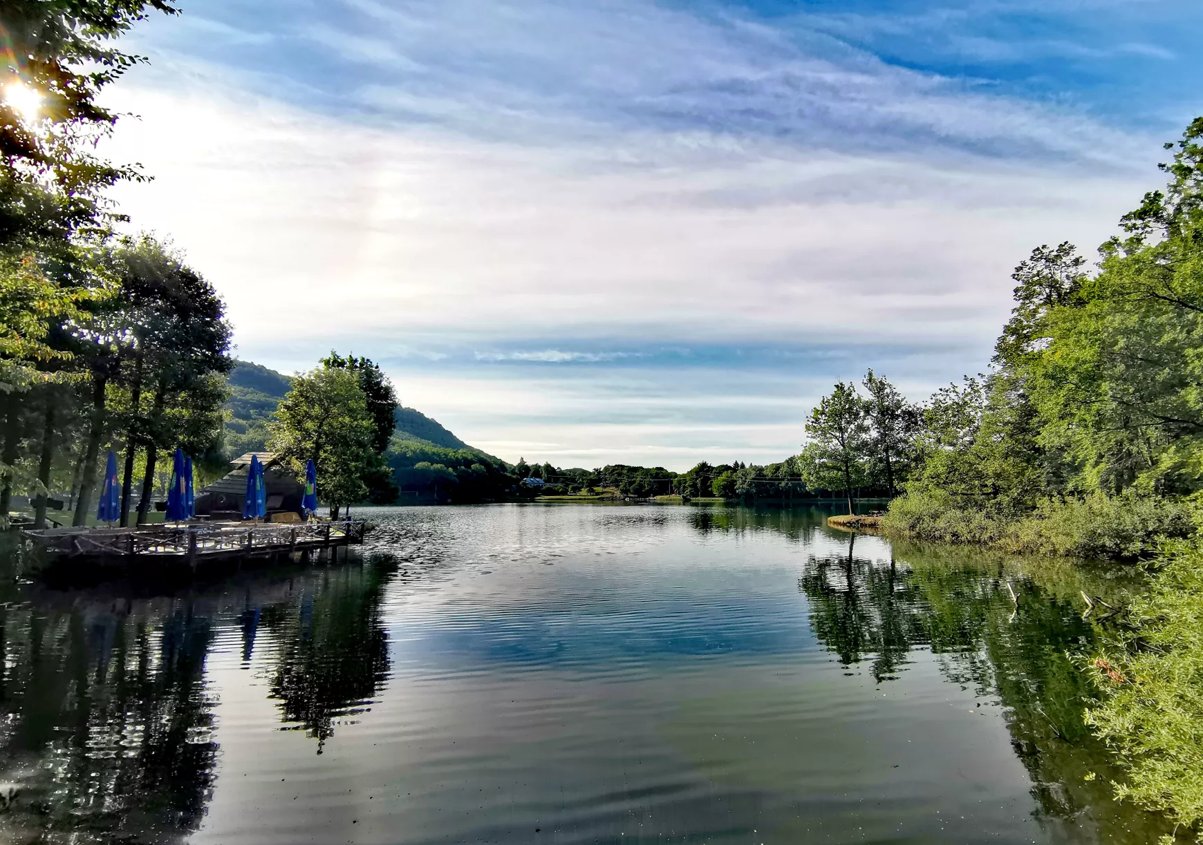 csendélet