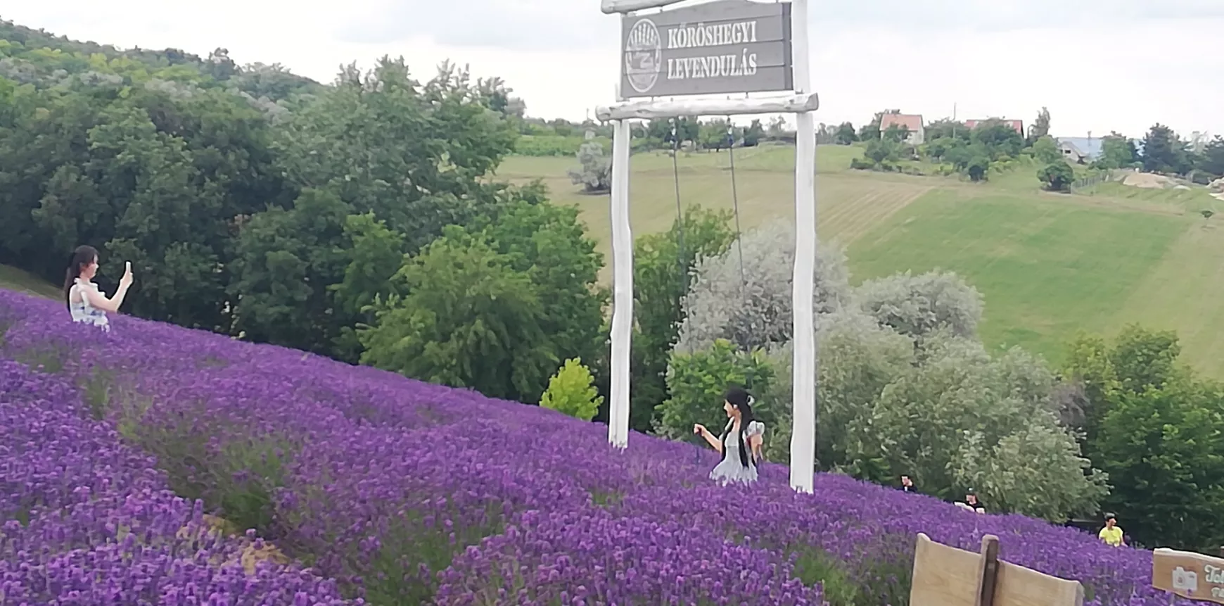 A lila meseország