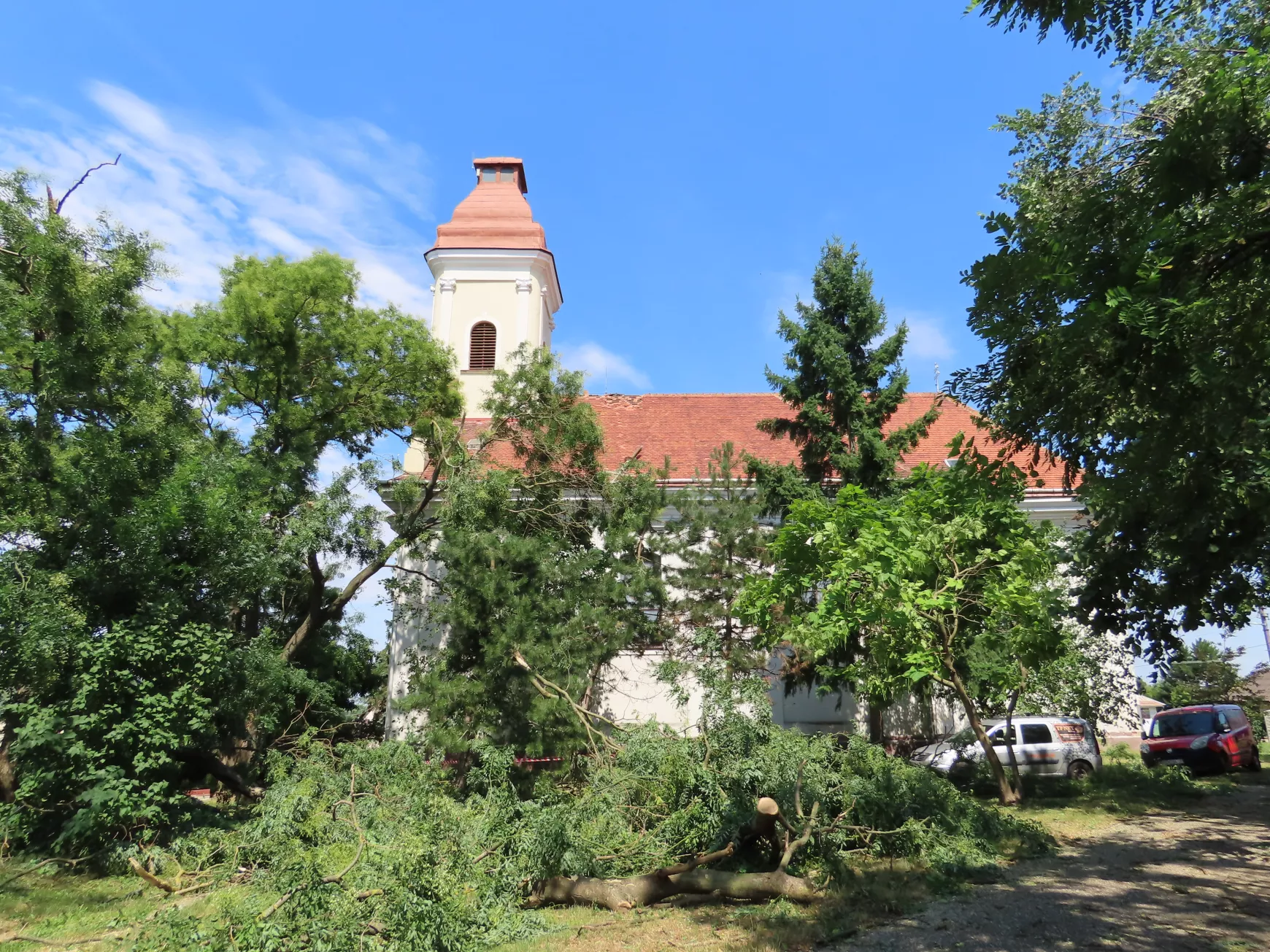 Köbkút károk