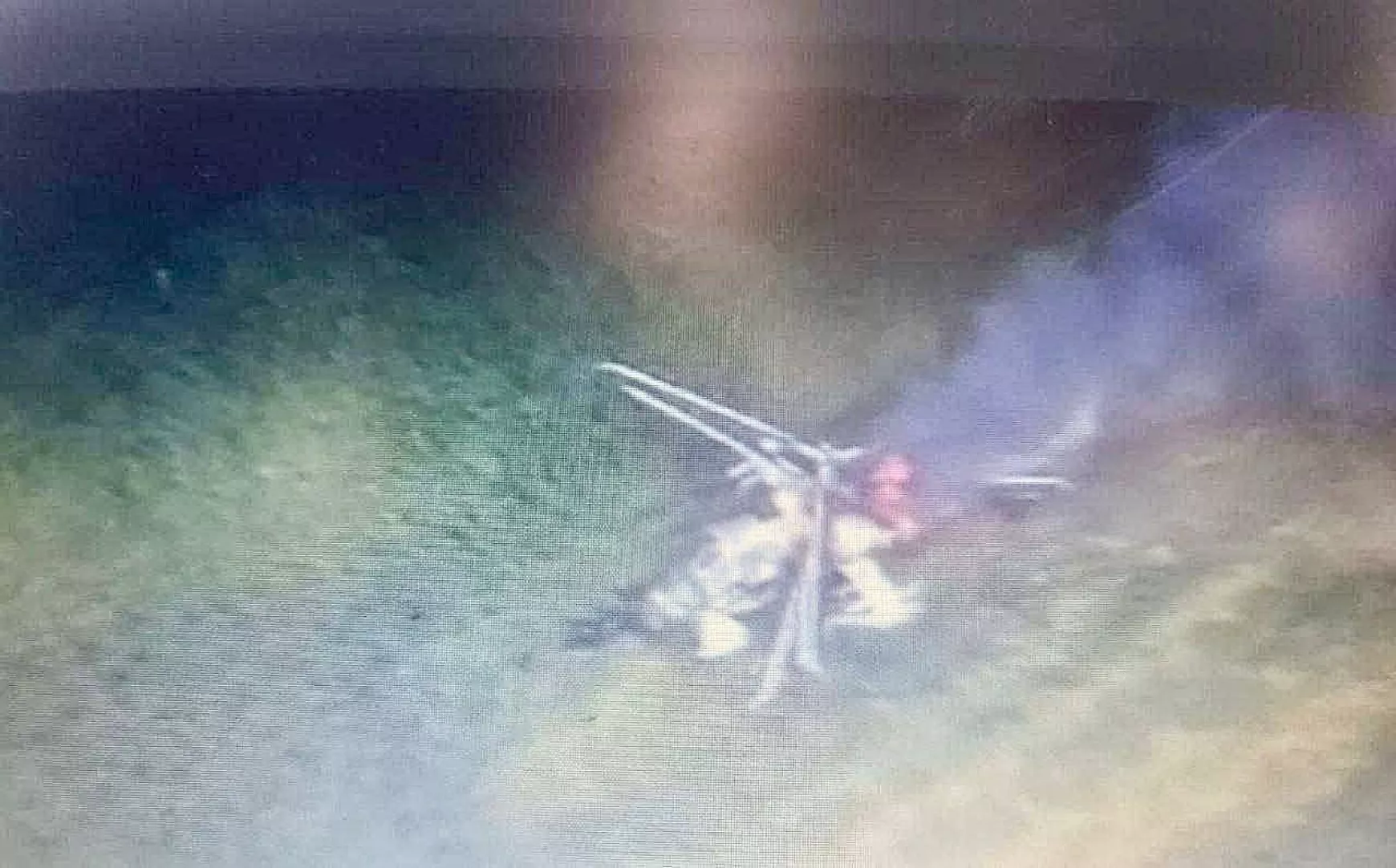 Ka-52 Aligator