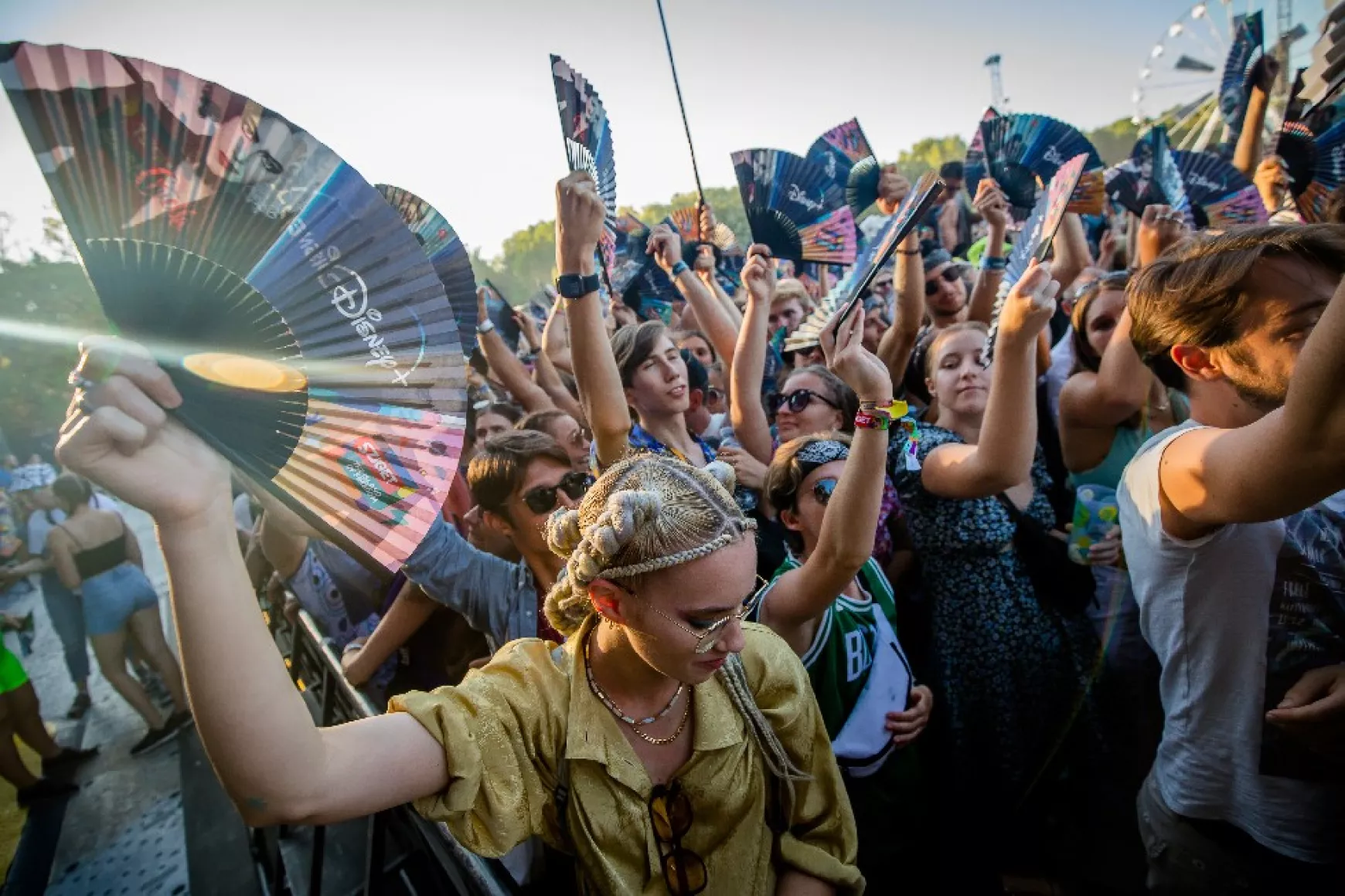 sziget
