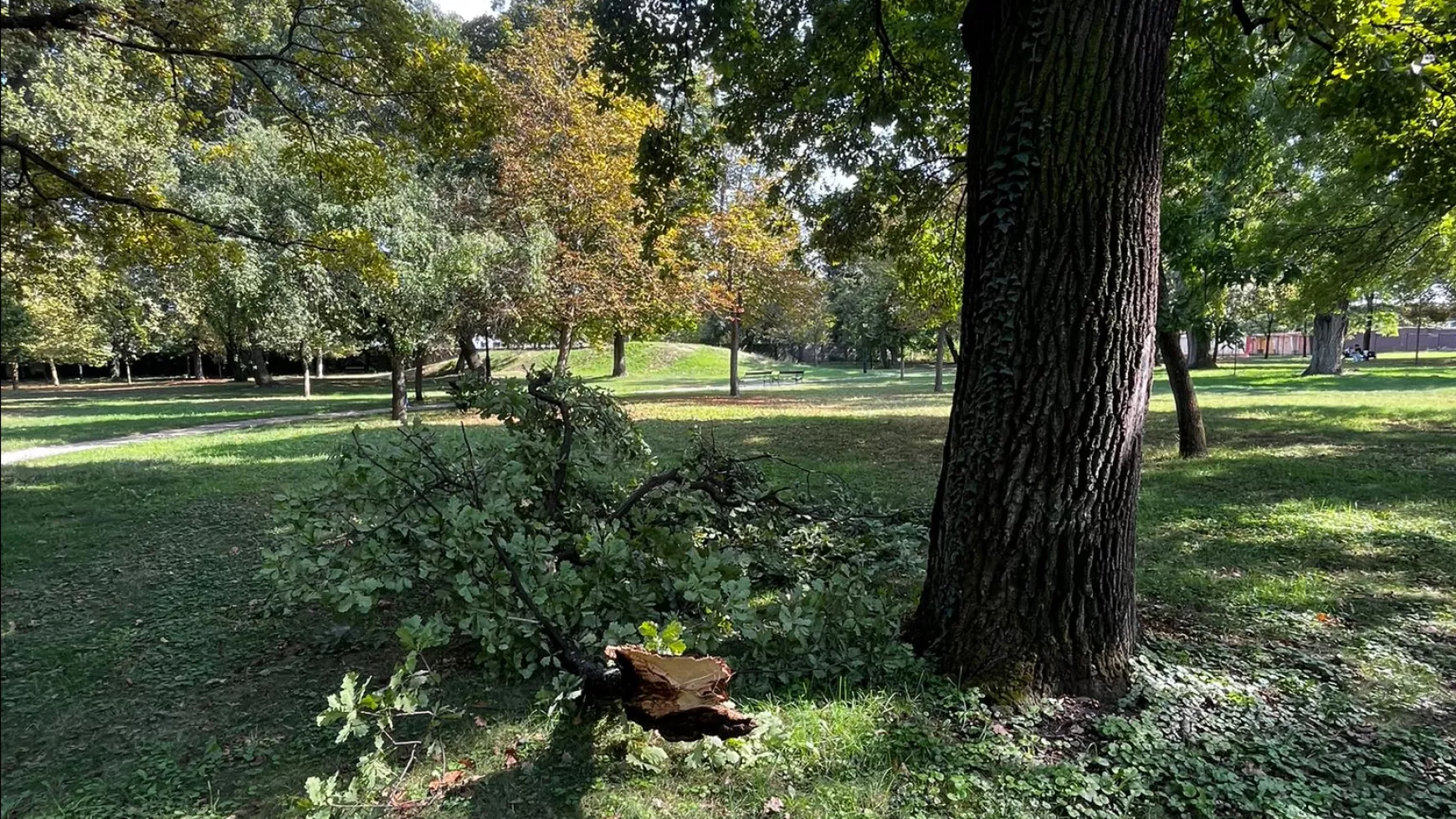Esterházy park