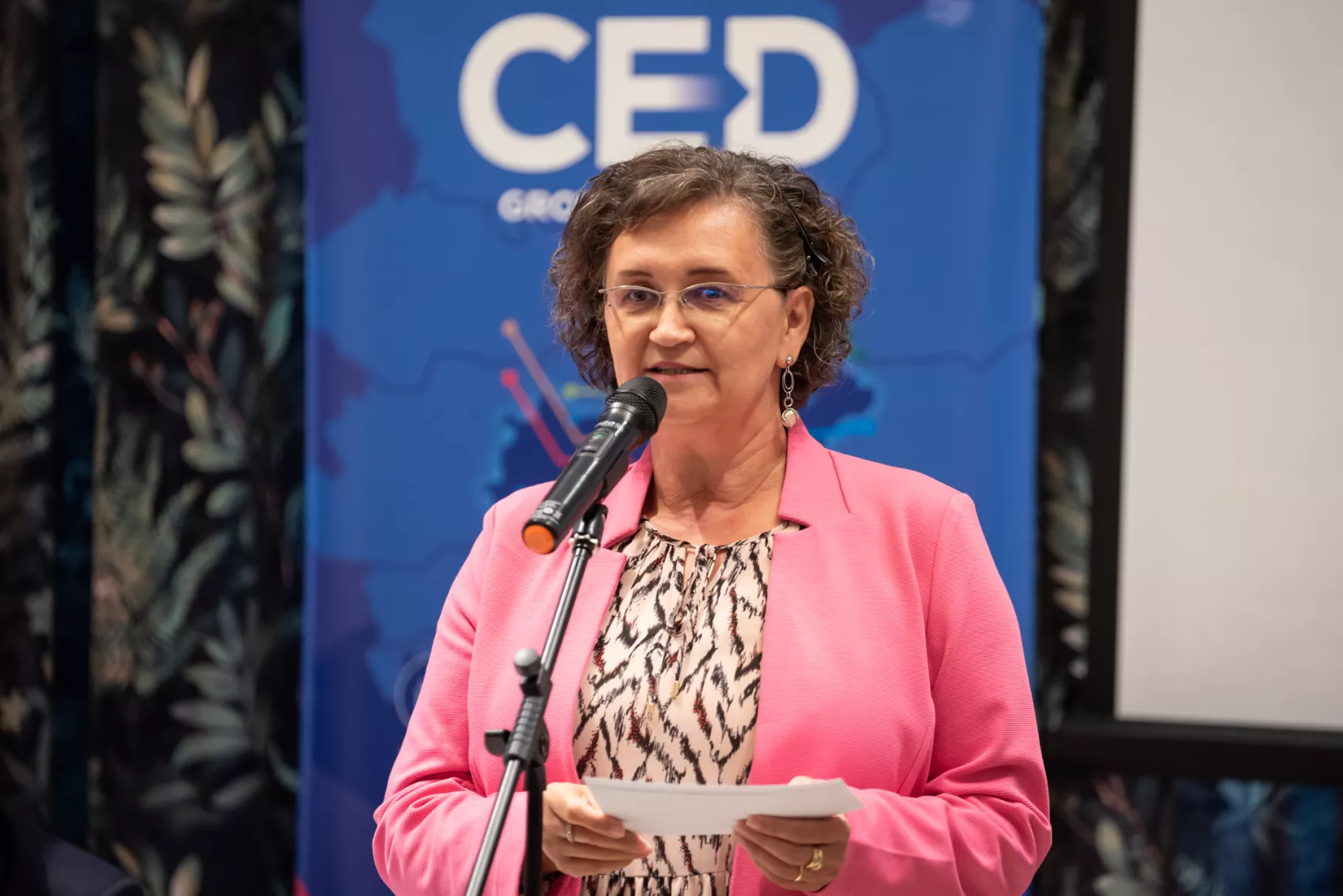 CED, szakmai fórum, Kassa