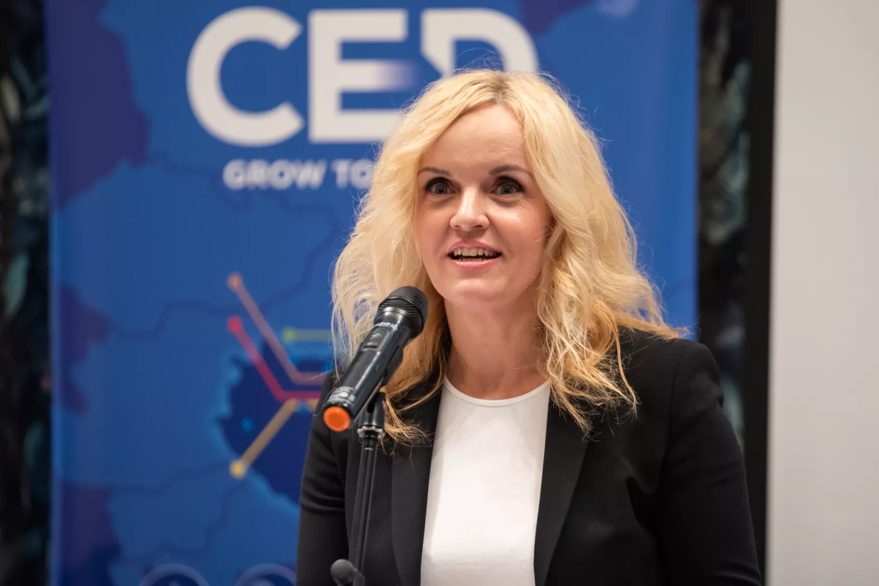 CED, szakmai fórum, Kassa